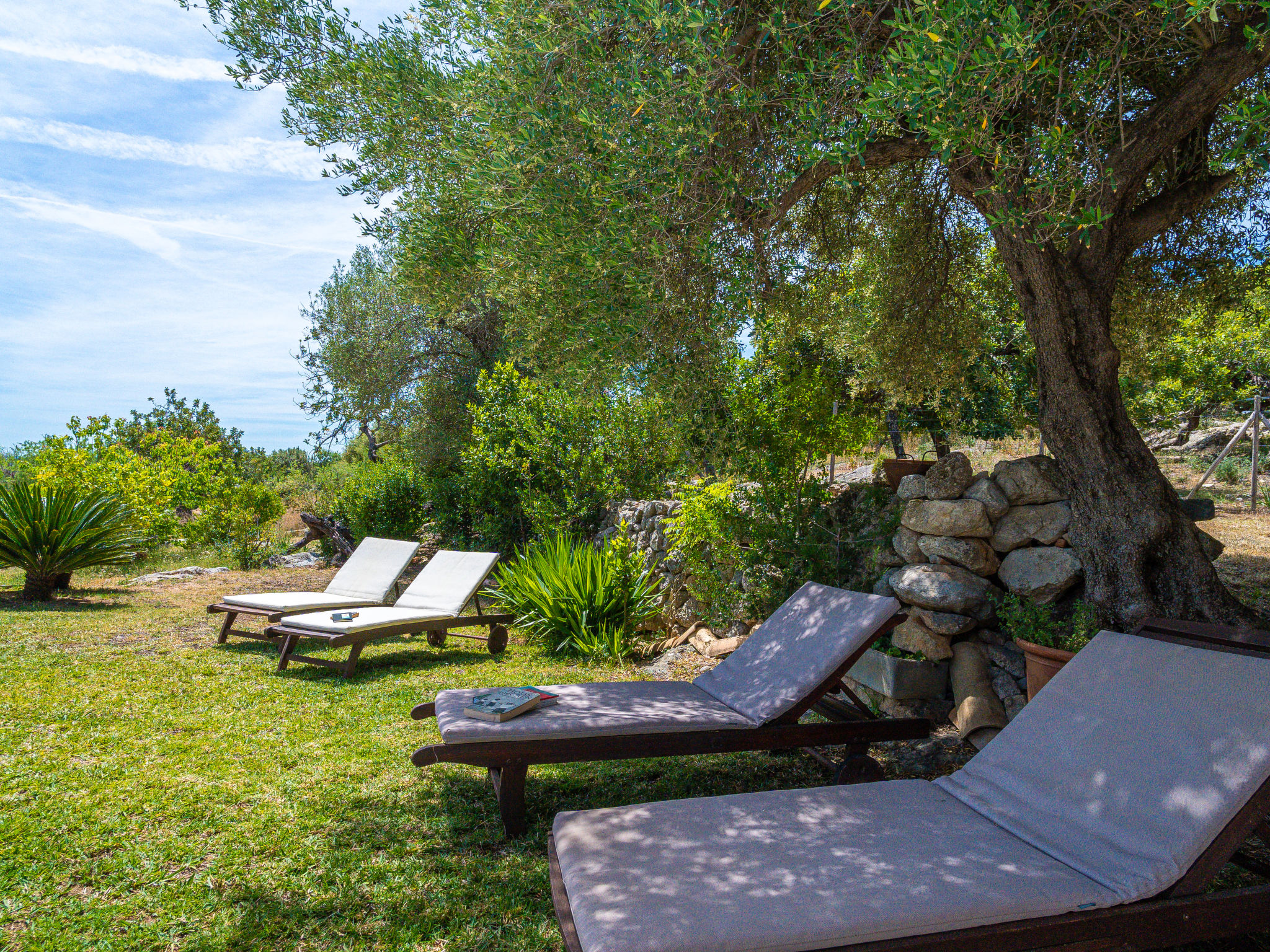 Villa Sa Coma Caimari – Extérieur, photo 37 sur 44