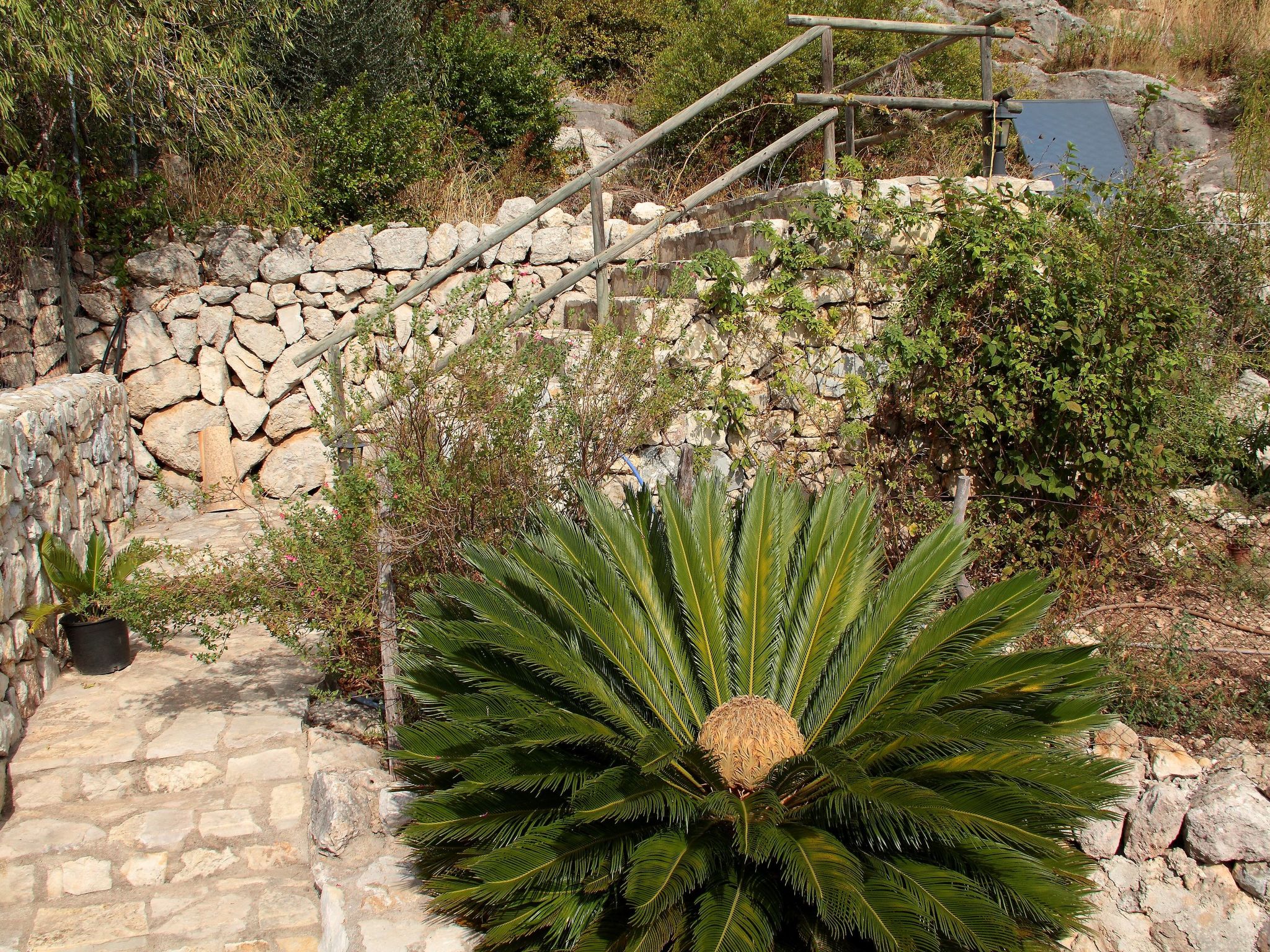 Casa Bella Mirada: Ruim vakantiehuis met tuin in authentiek Caimari - foto 27