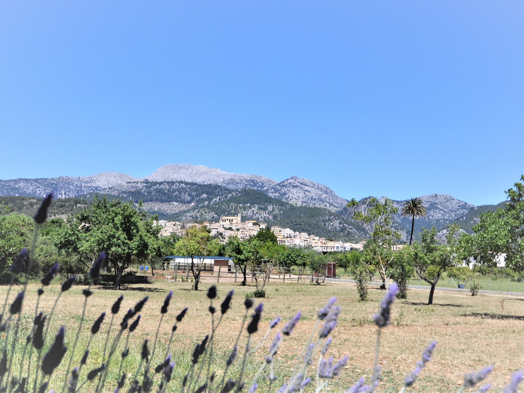 Villa SON RUBI en Selva (Serra de Tramuntana) con barbacoa y piscina privada- V - Buiten
