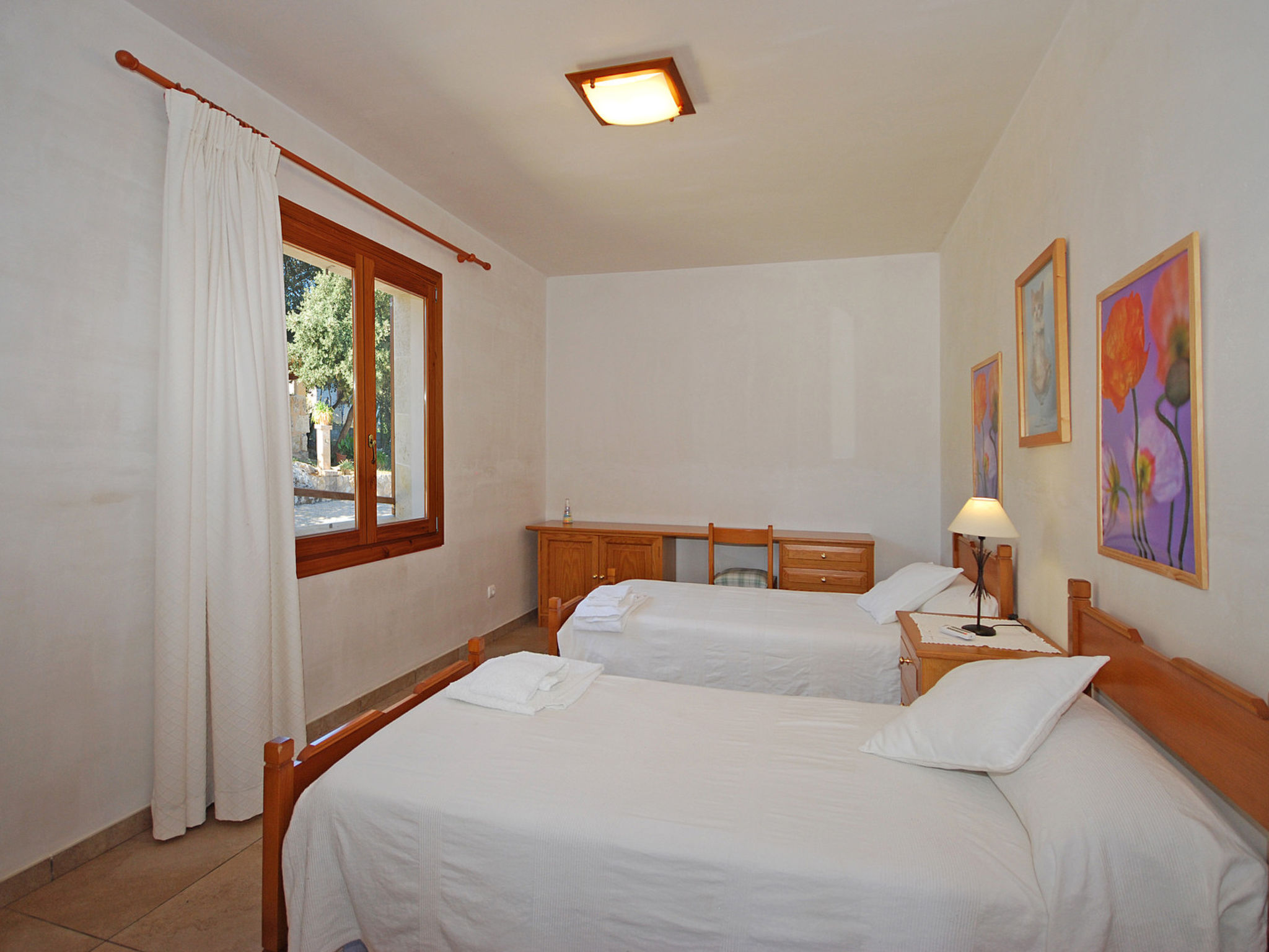 Photo of Pla de ses rotes