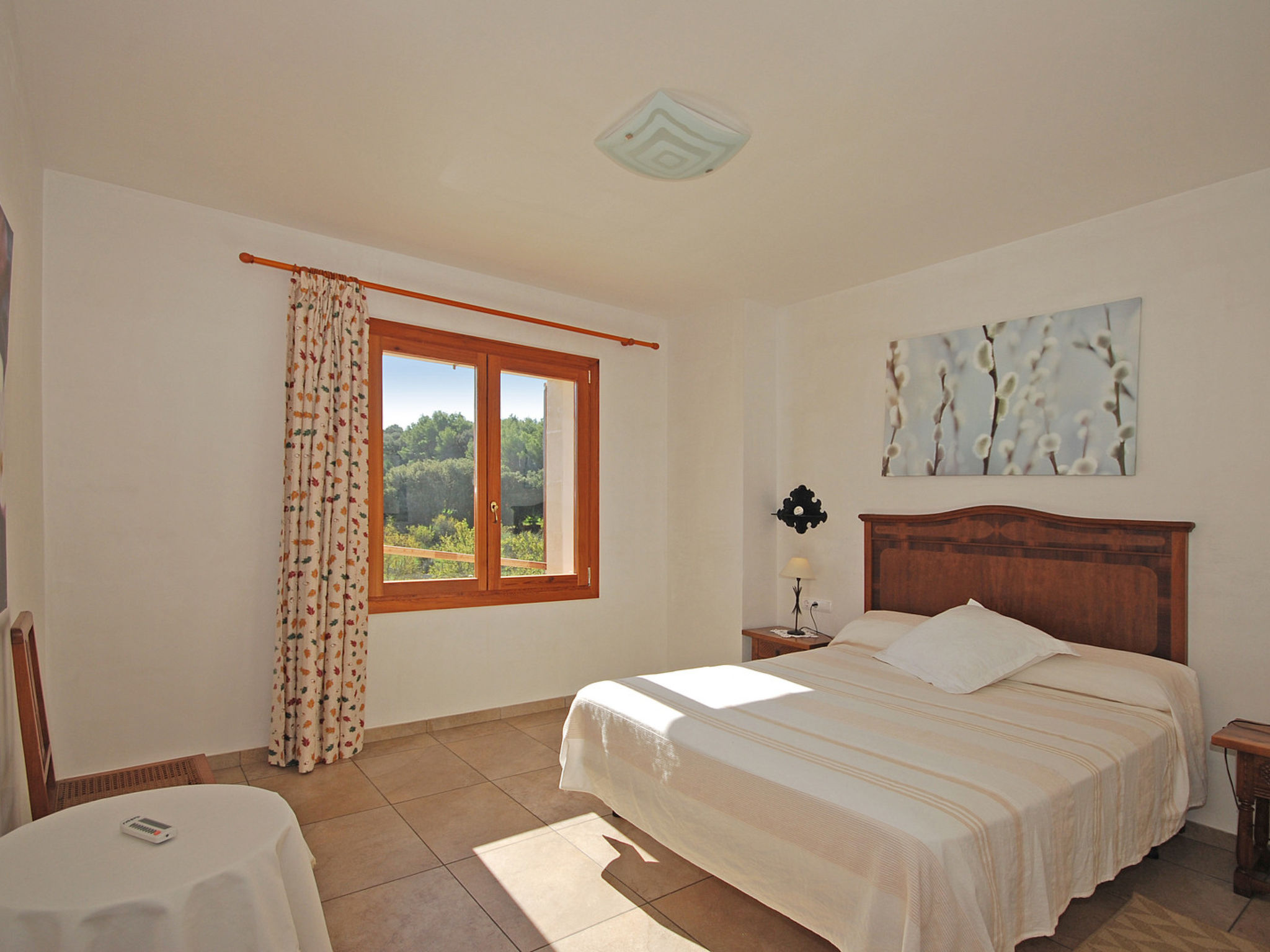 Photo of Pla de ses rotes