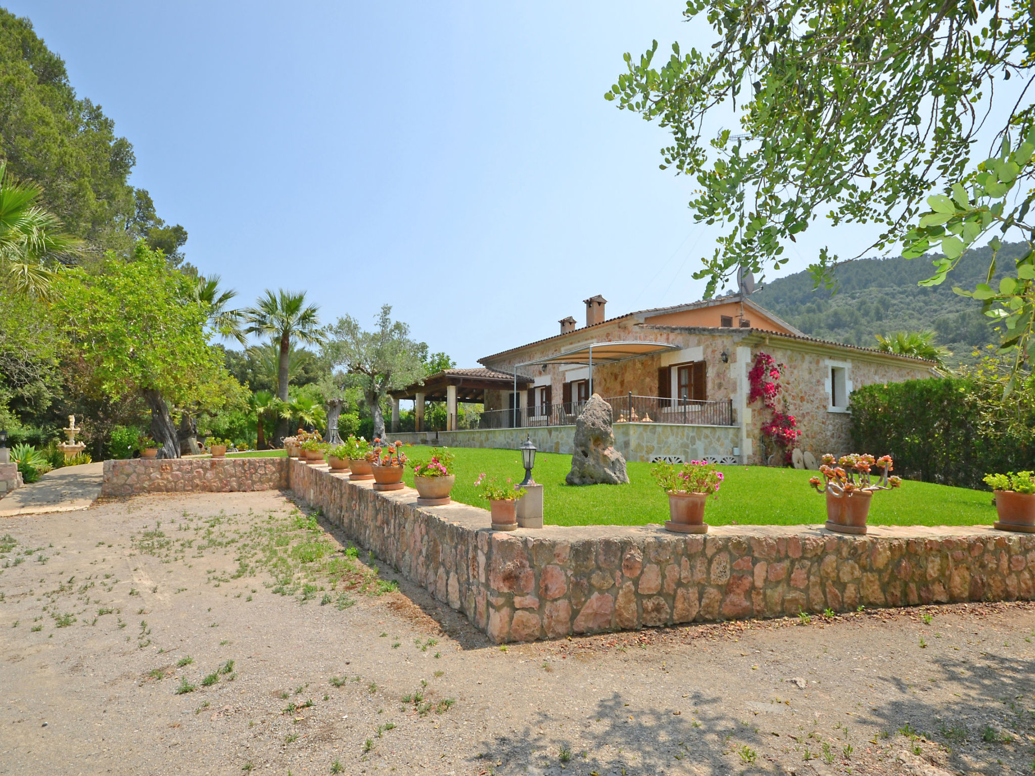 Photo of Ca na rossa