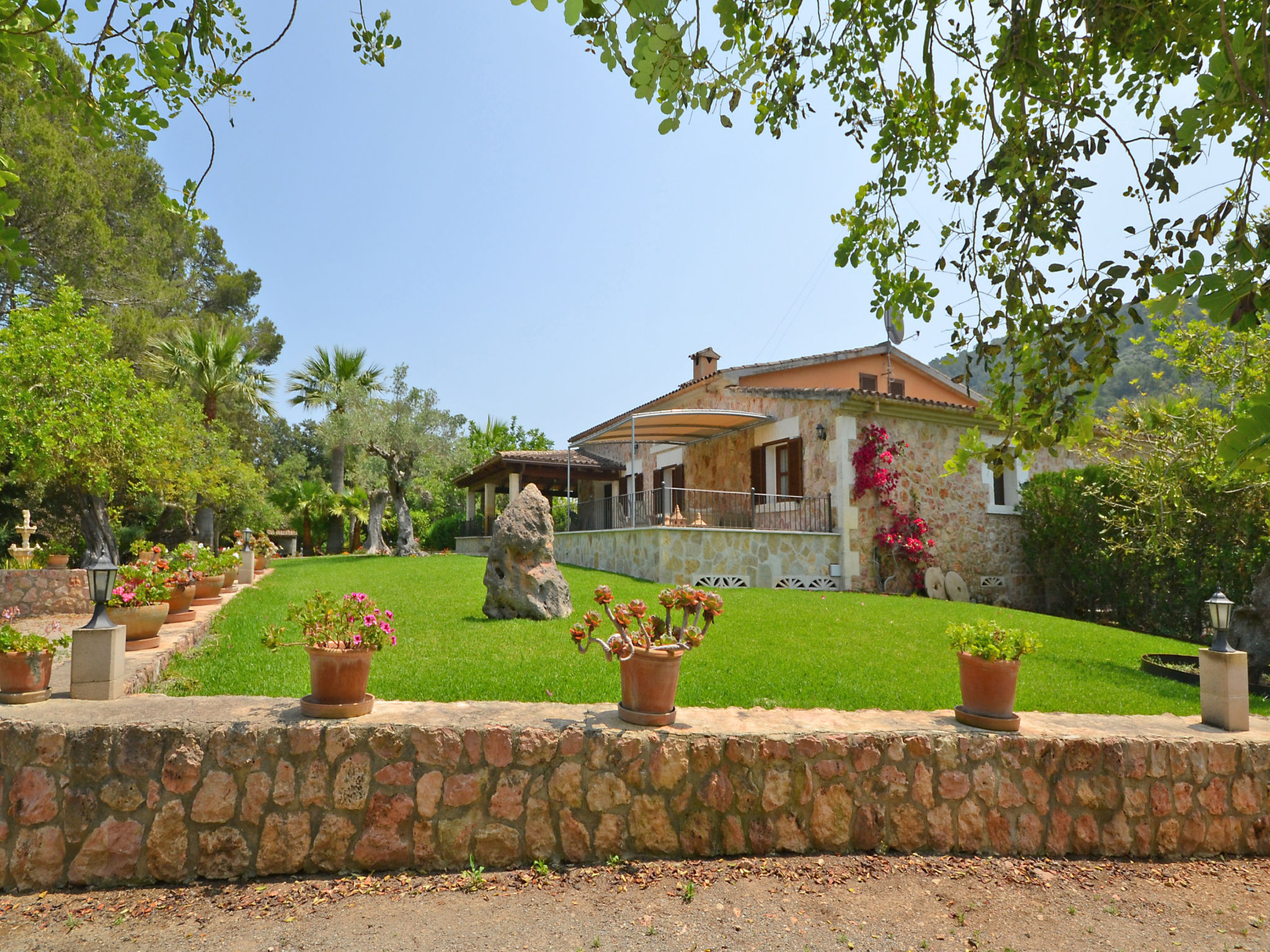 Photo of Ca na rossa