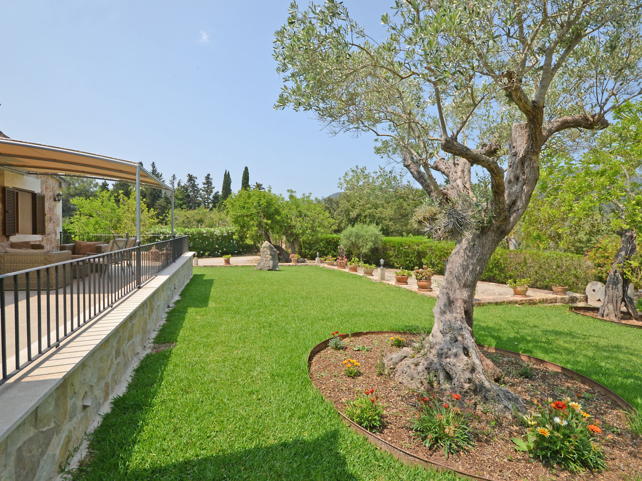 Photo of Ca na rossa