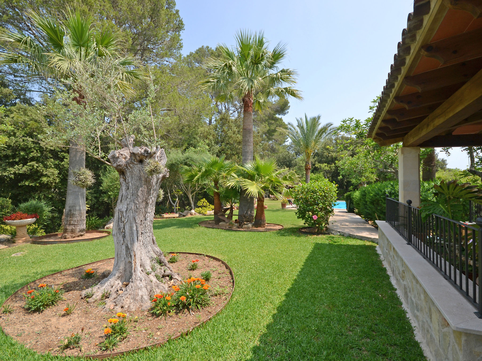 Photo of Ca na rossa