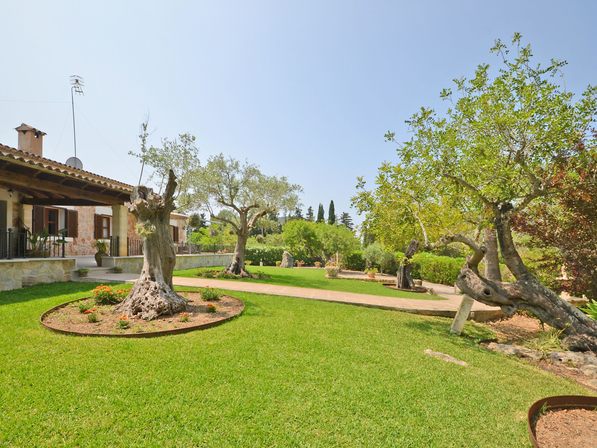 Photo of Ca na rossa