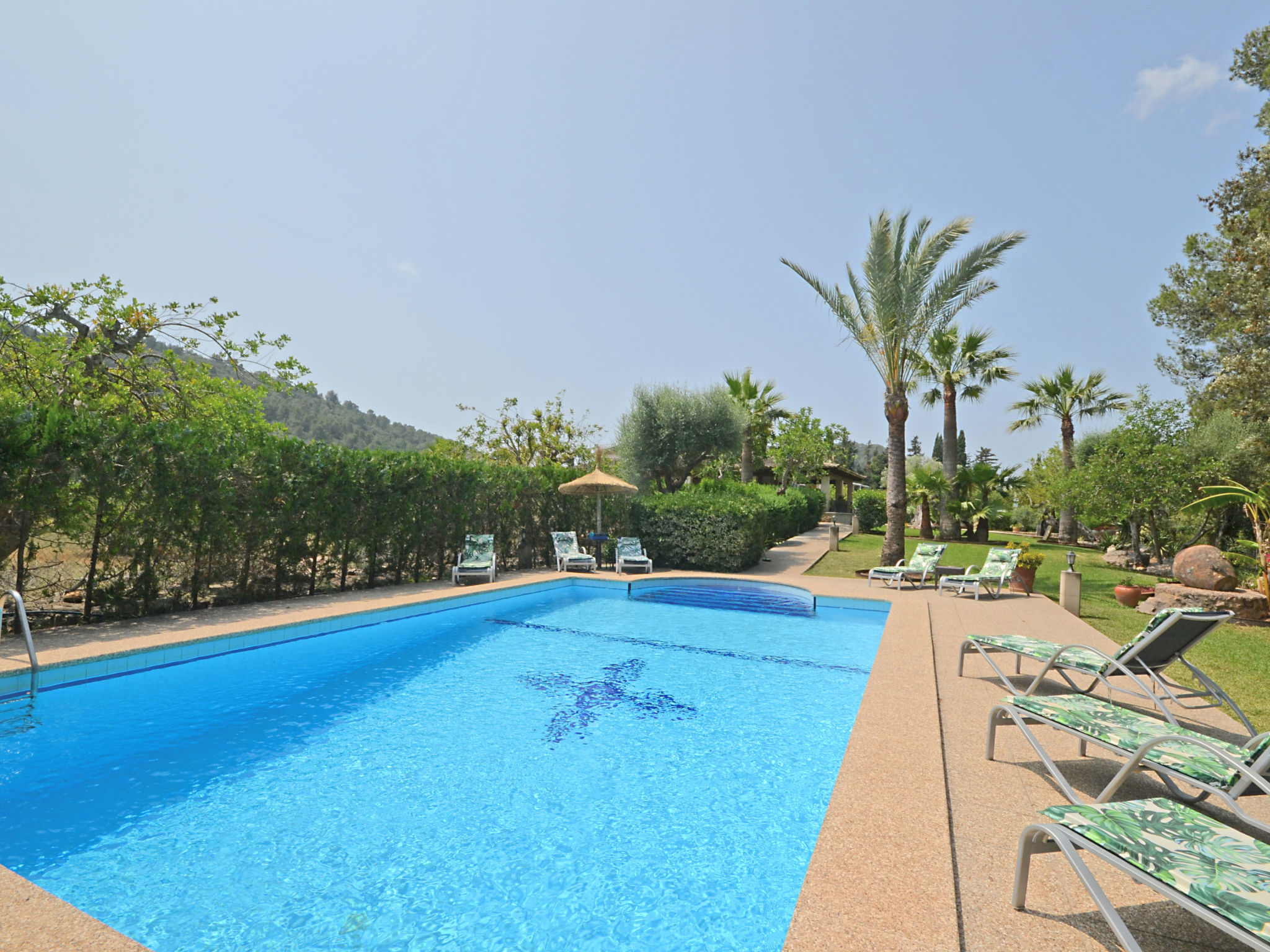 Photo of Ca na rossa