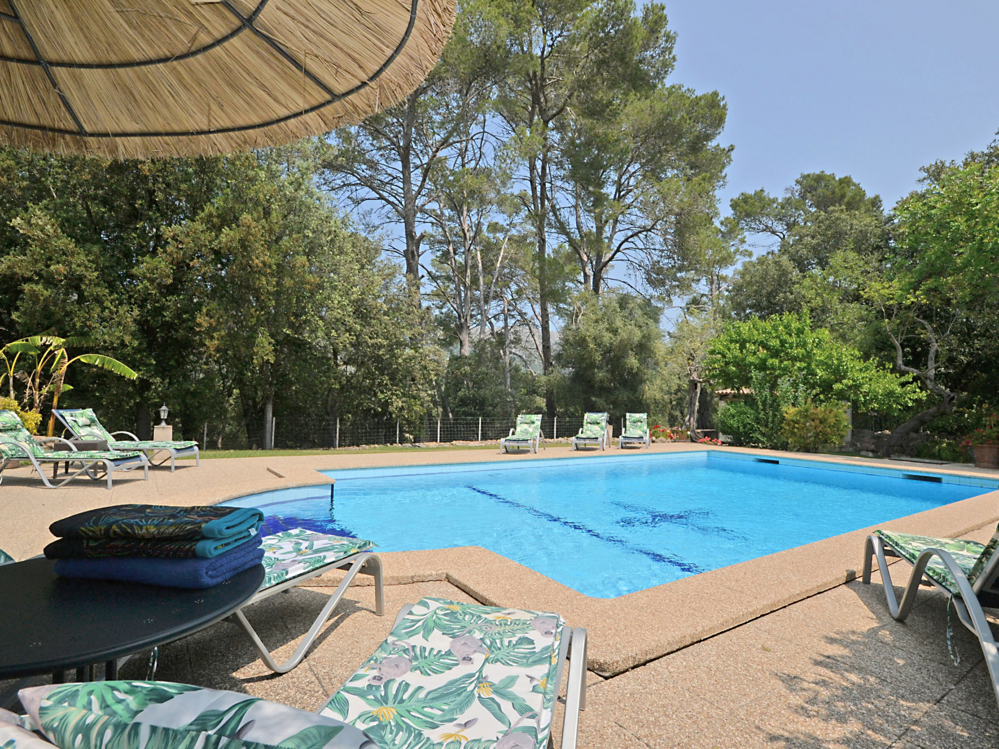 Photo of Ca na rossa