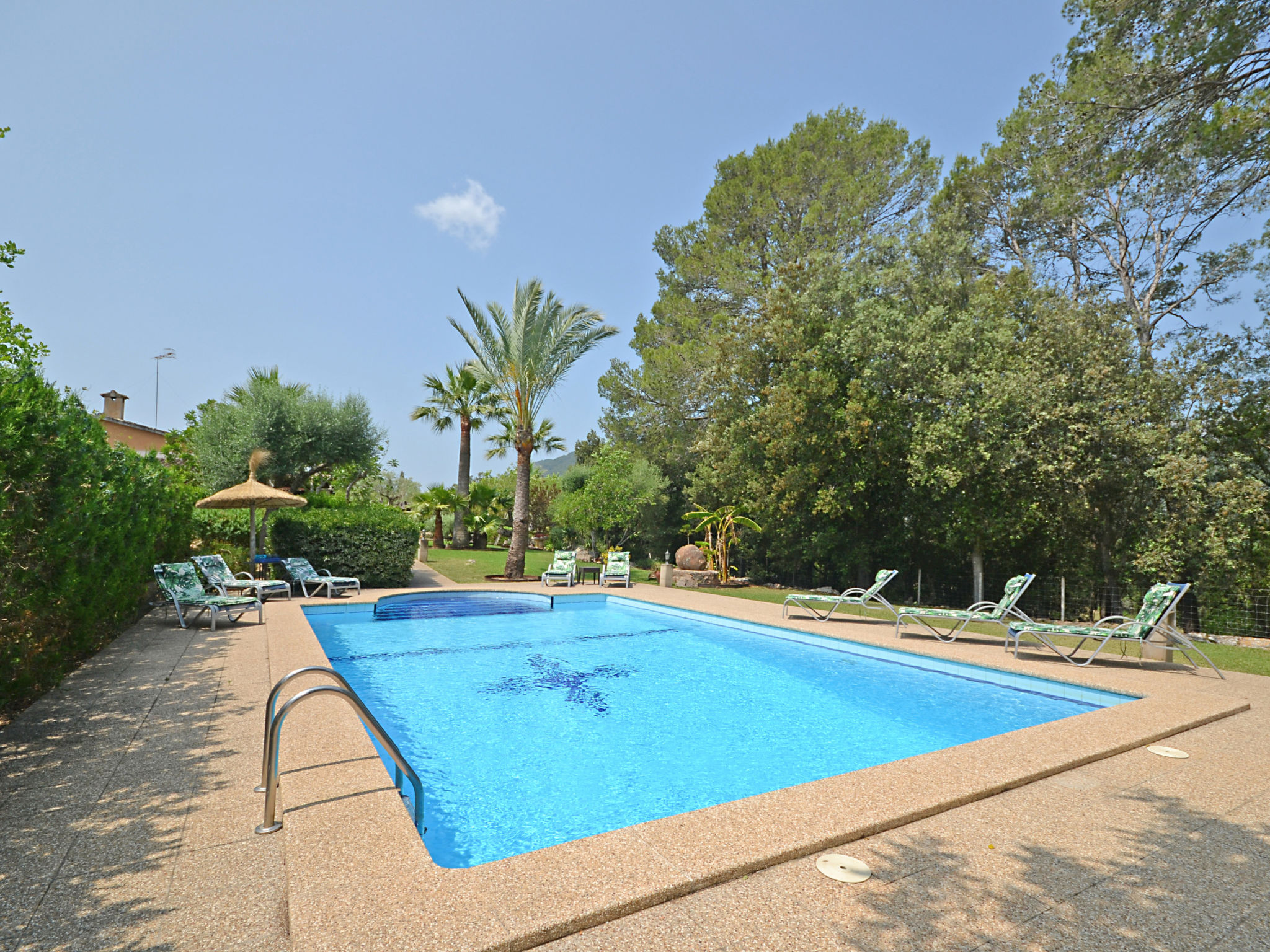 Photo of Ca na rossa