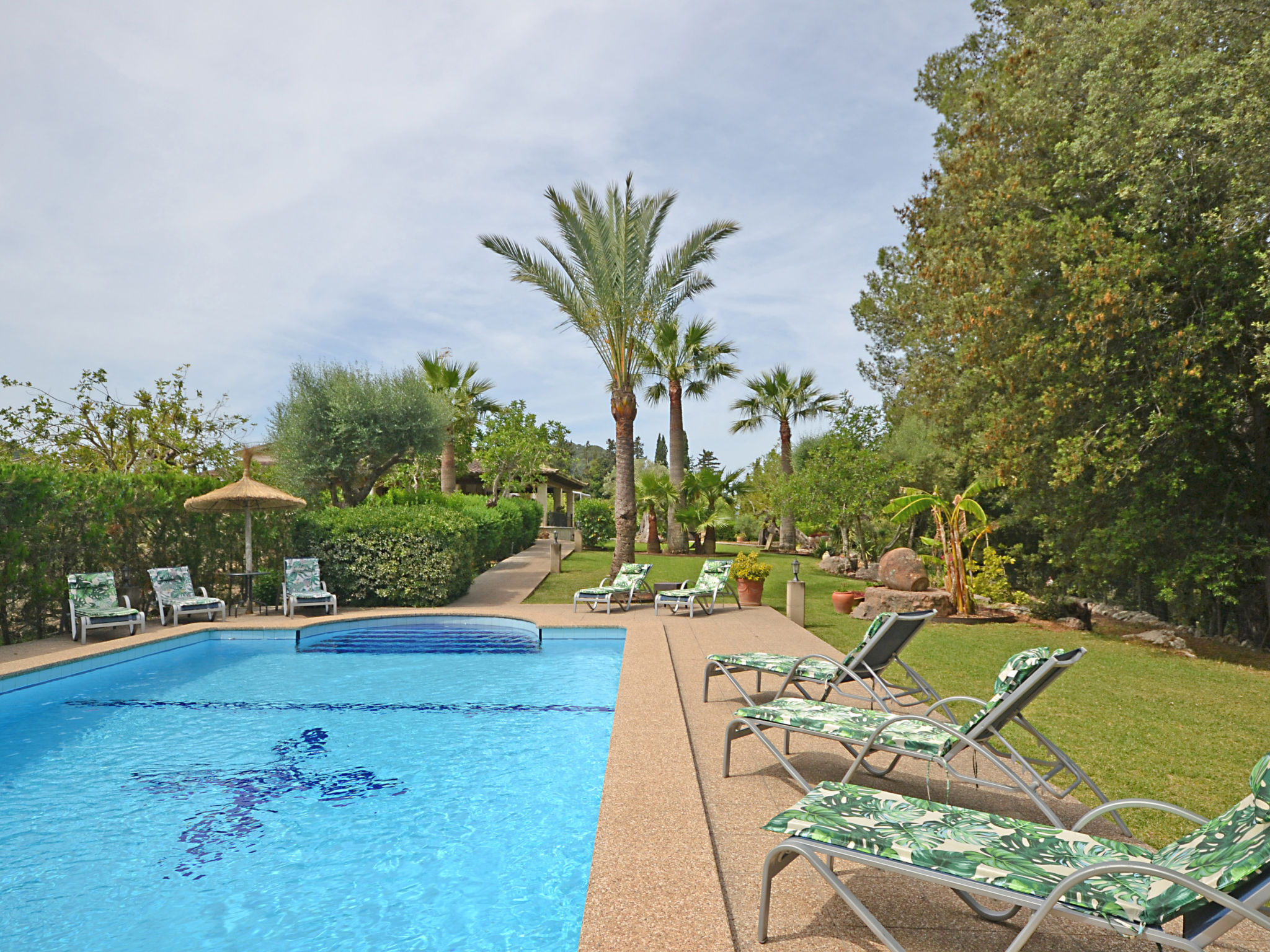 Photo of Ca na rossa