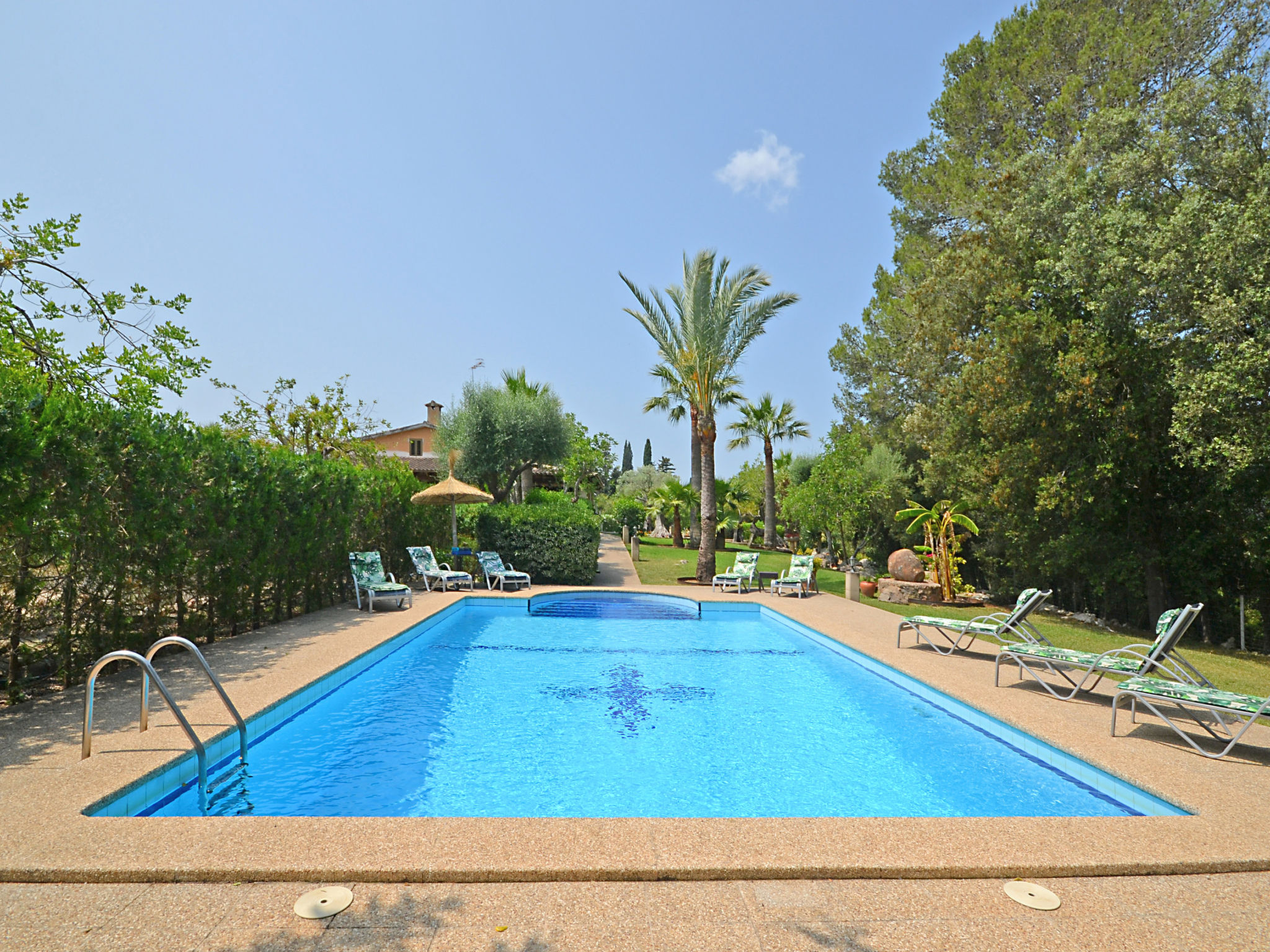 Photo of Ca na rossa