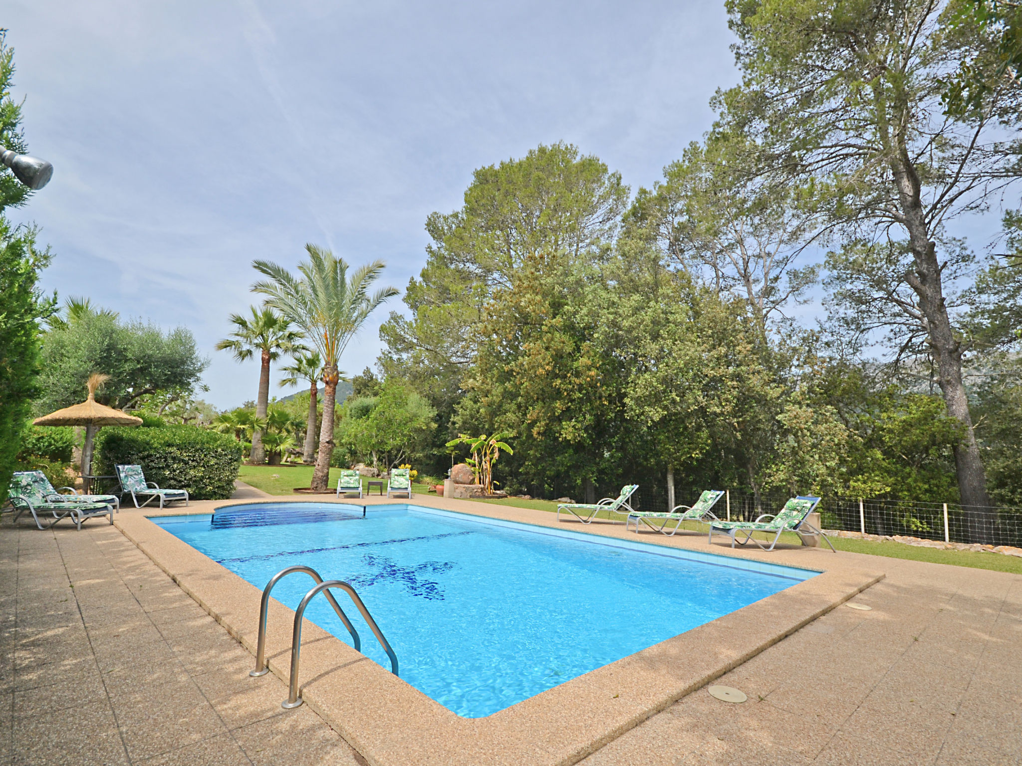 Photo of Ca na rossa