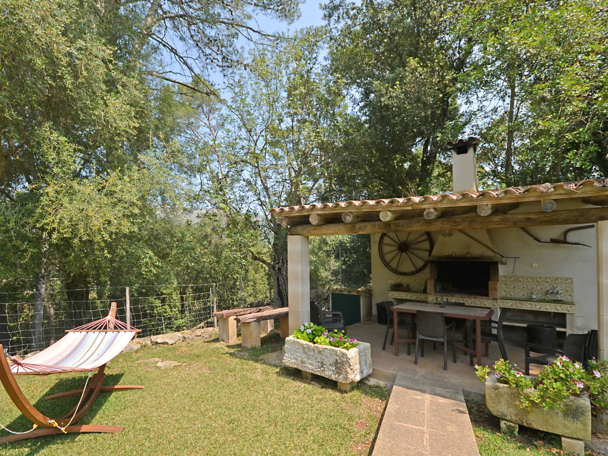 Photo of Ca na rossa