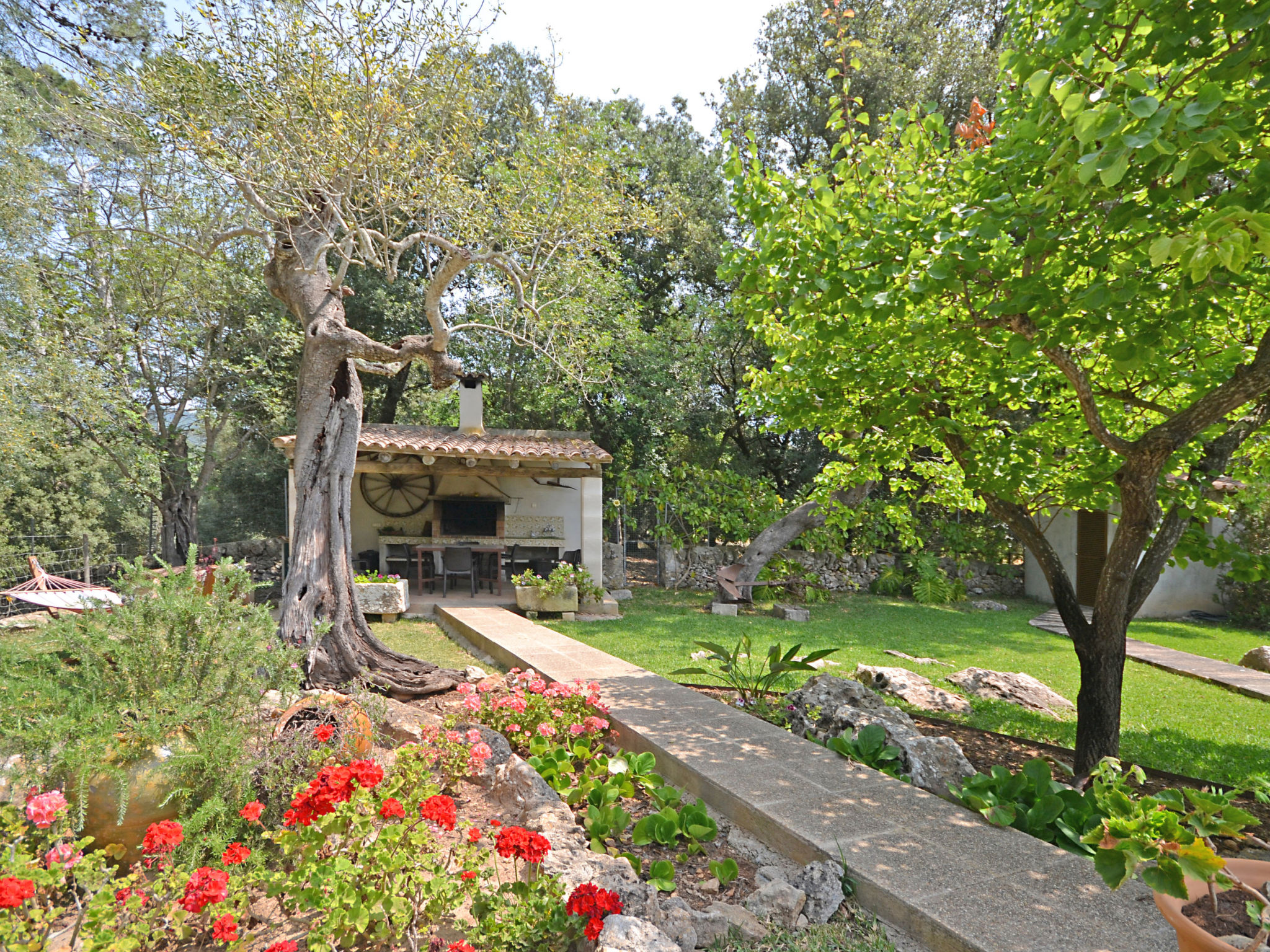 Photo of Ca na rossa