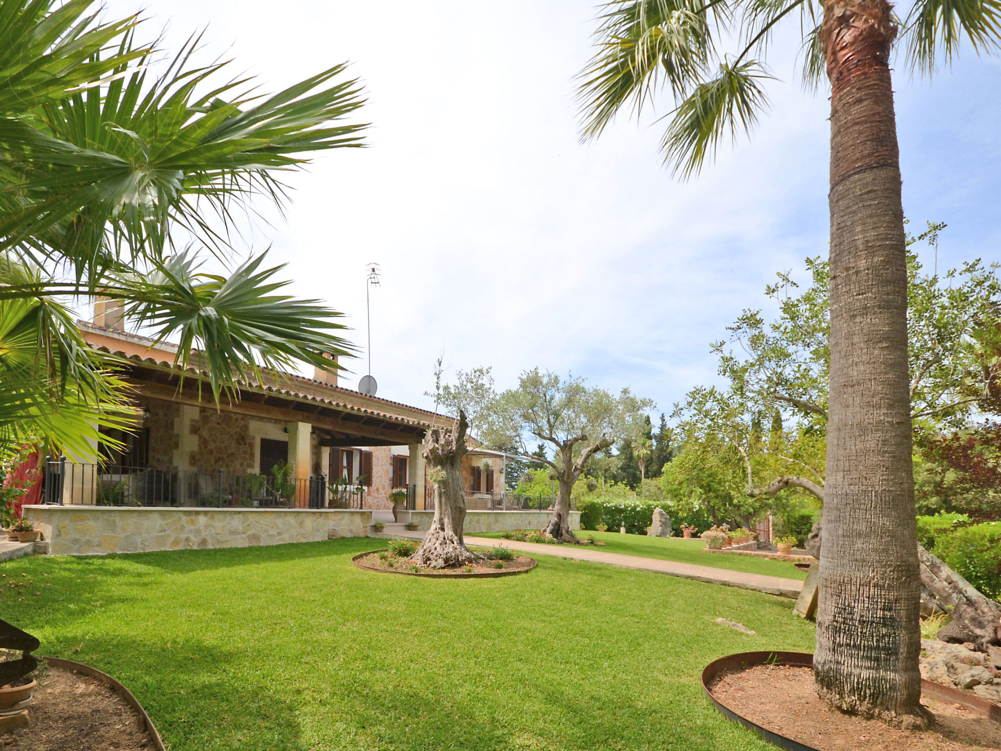 Photo of Ca na rossa