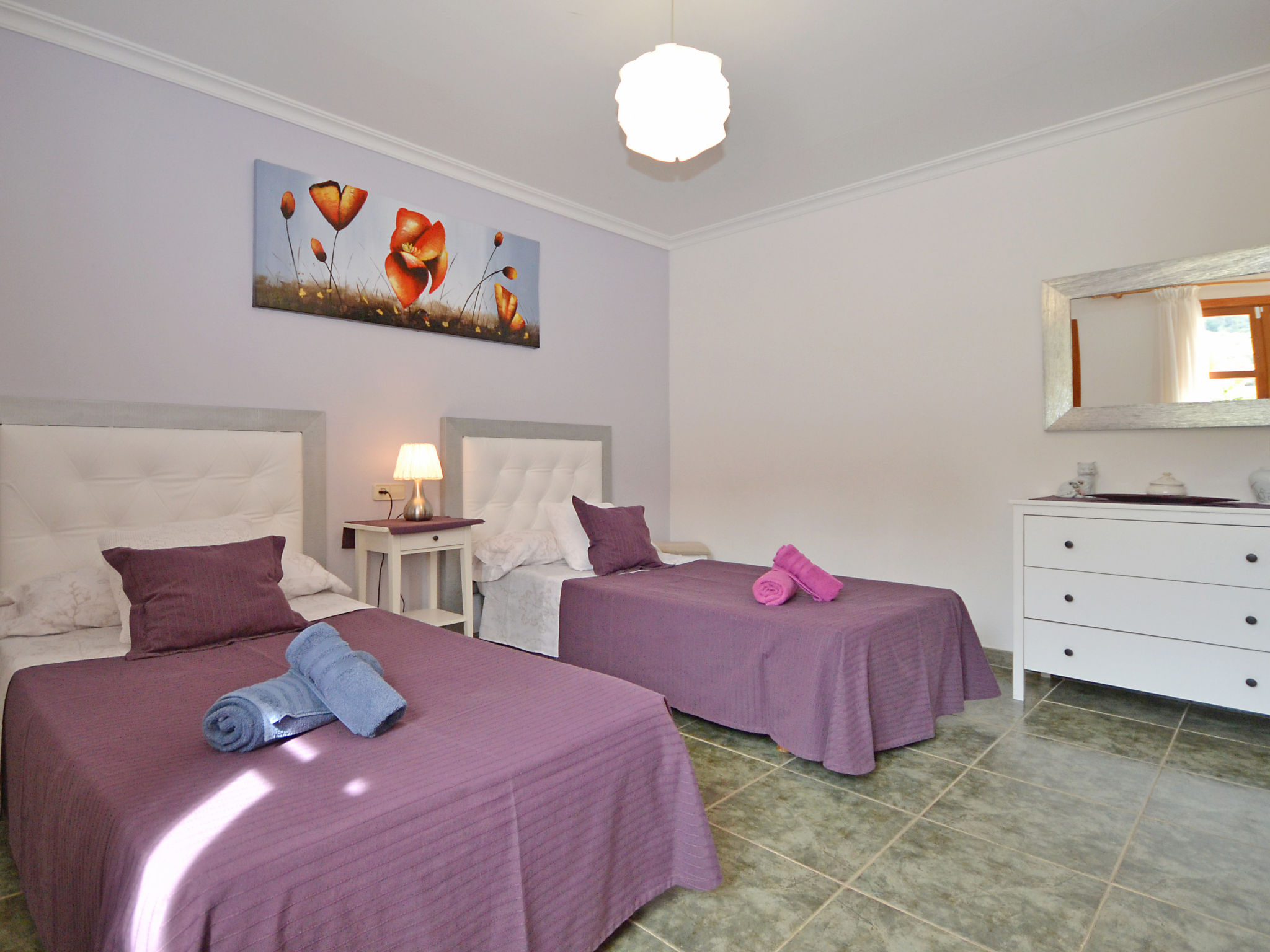 Photo of Ca na rossa