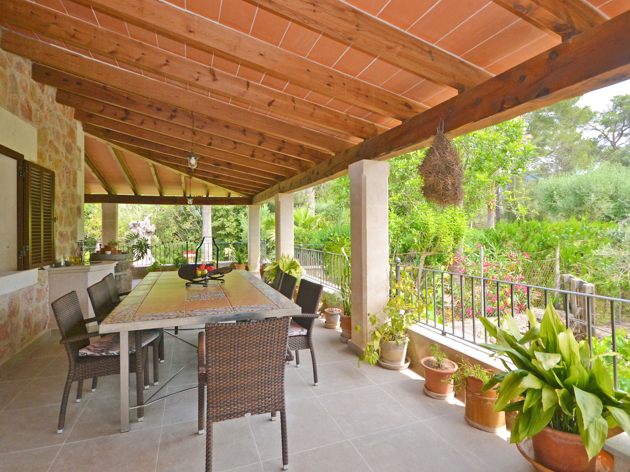 Photo of Ca na rossa