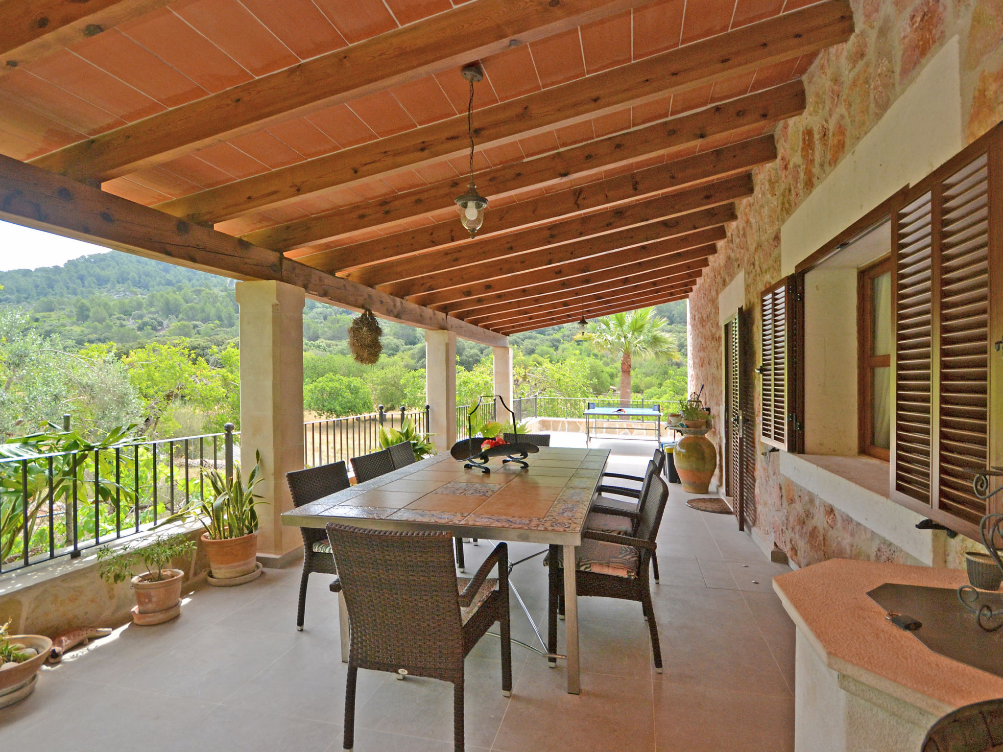 Photo of Ca na rossa