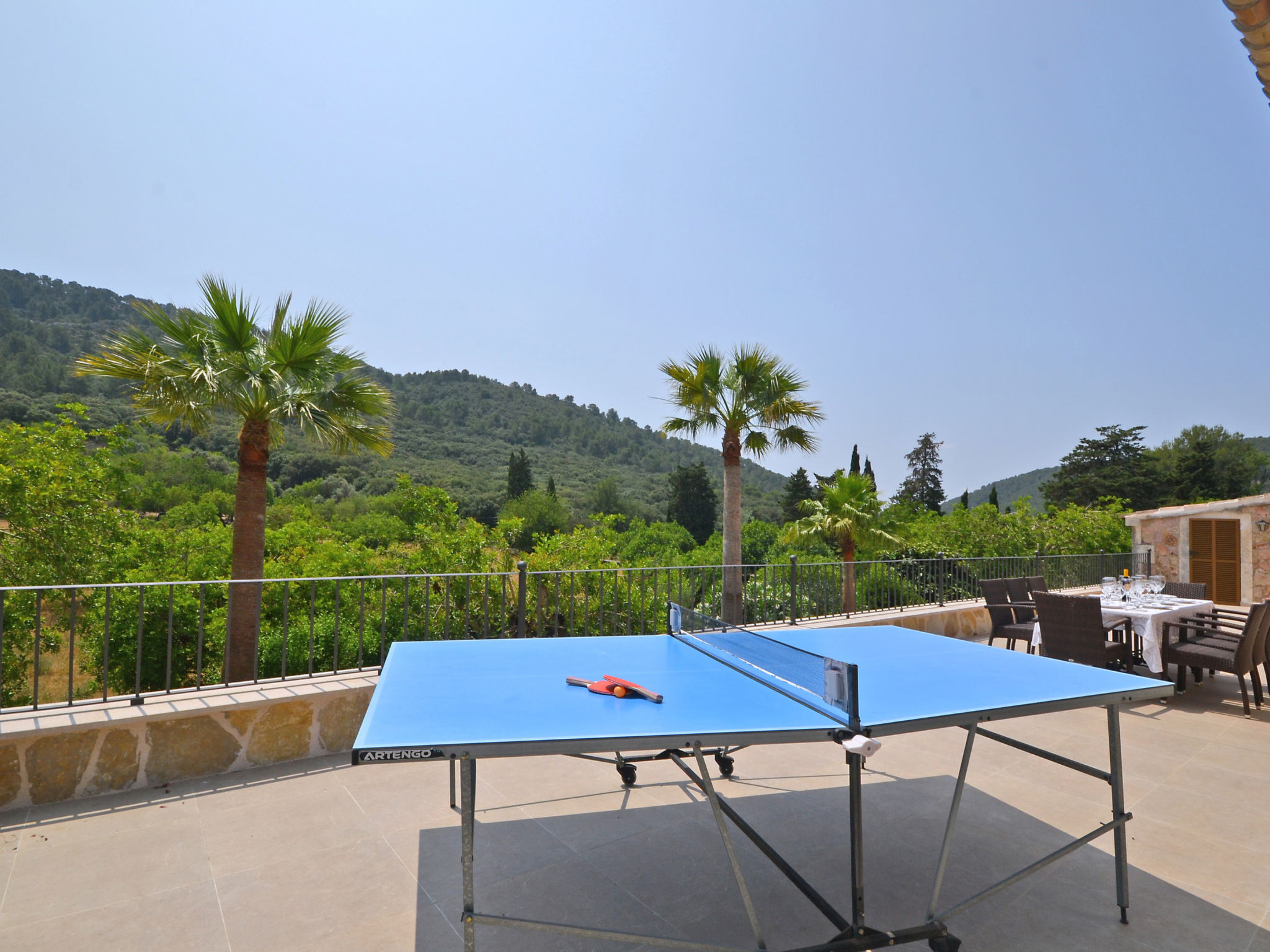 Photo of Ca na rossa