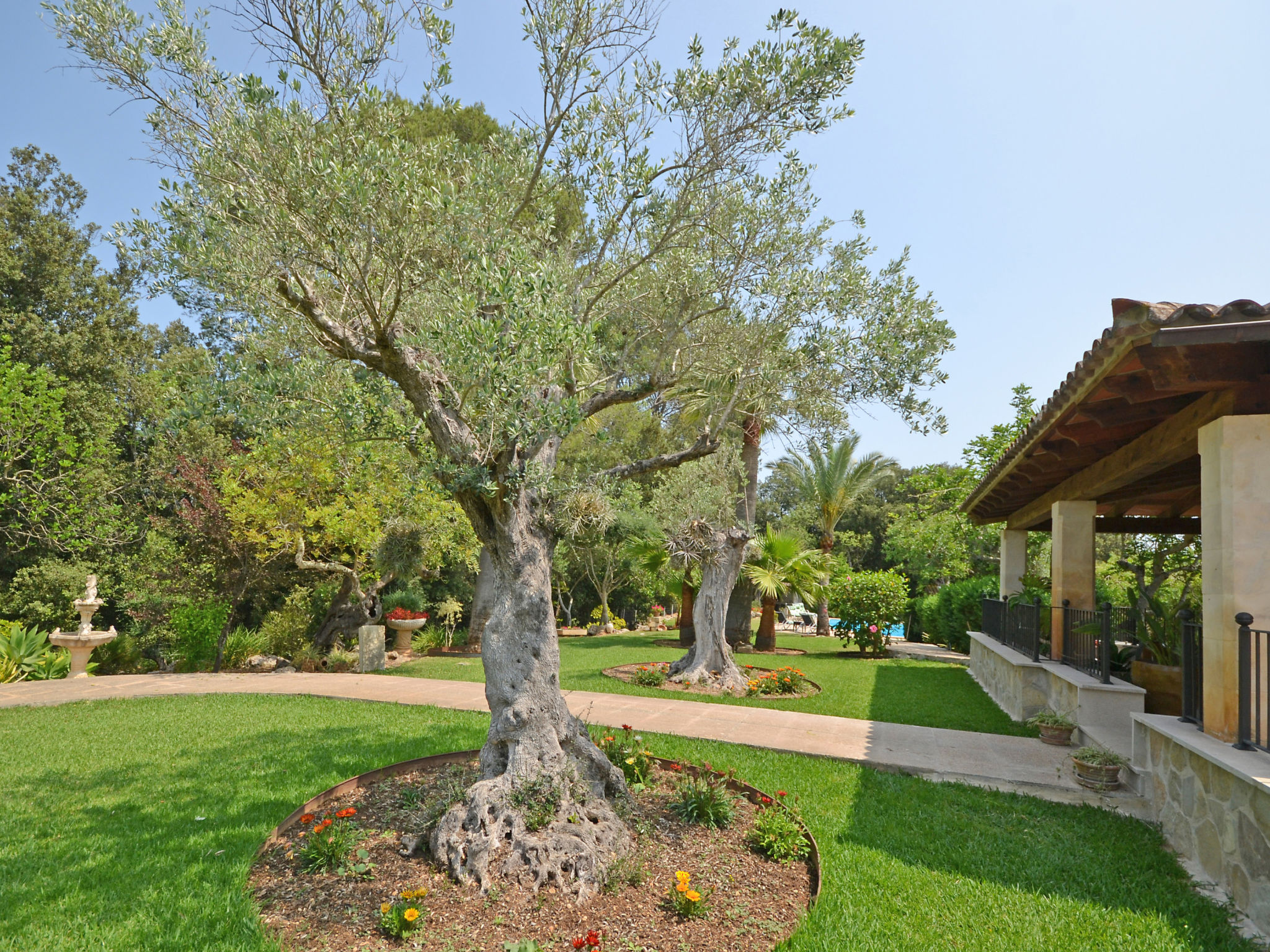 Photo of Ca na rossa