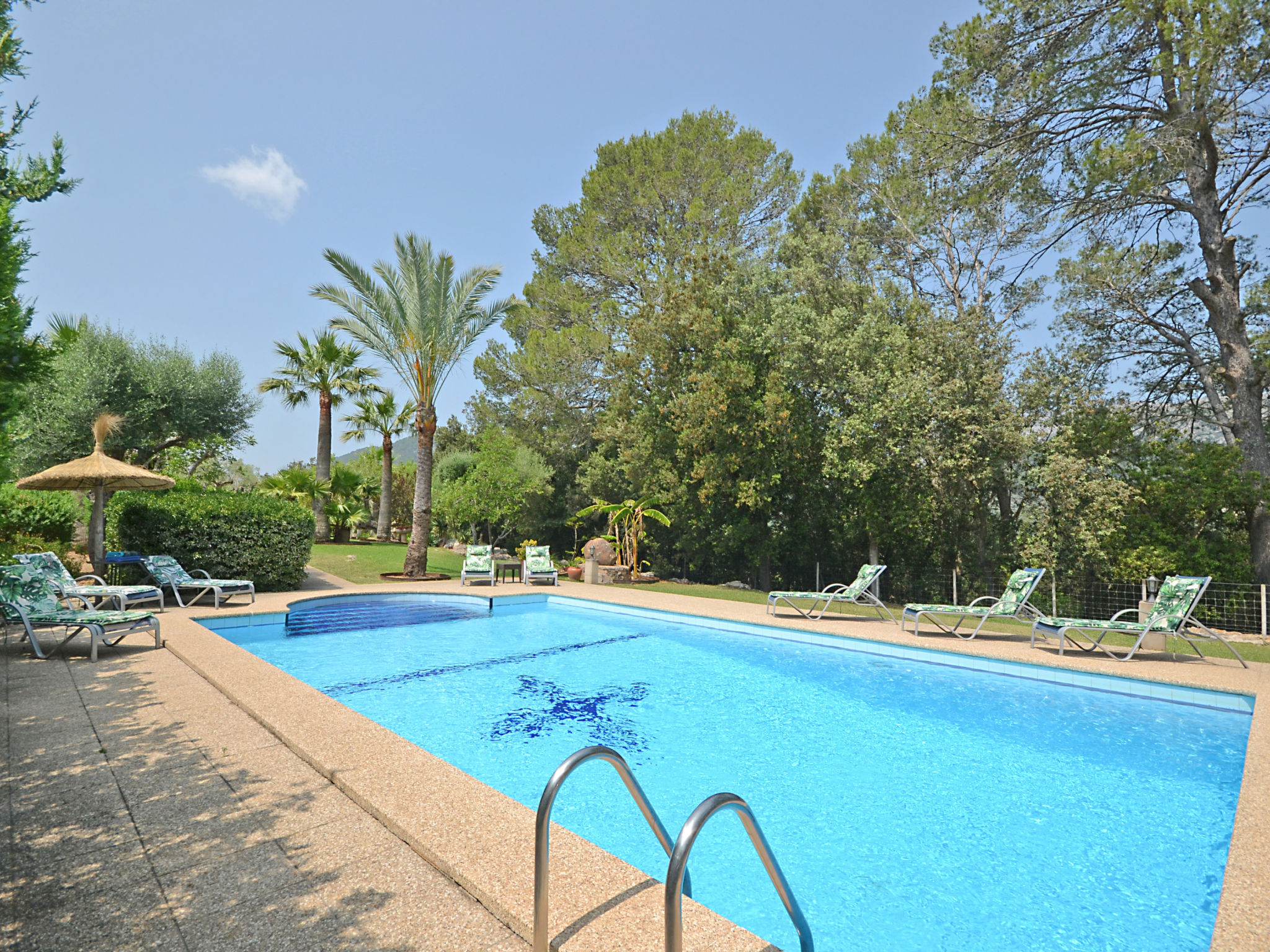 Photo of Ca na rossa