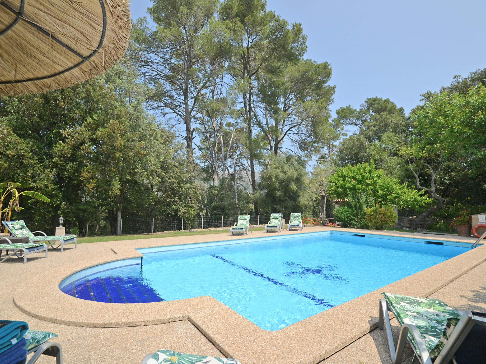 Photo of Ca na rossa