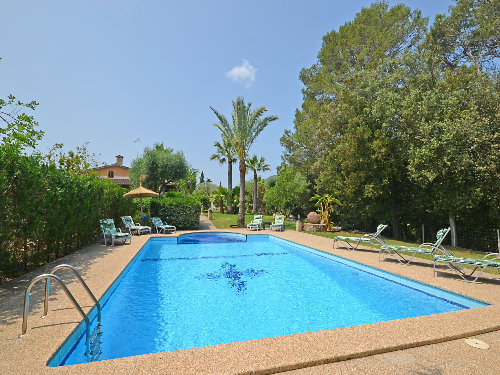 Photo of Ca na rossa