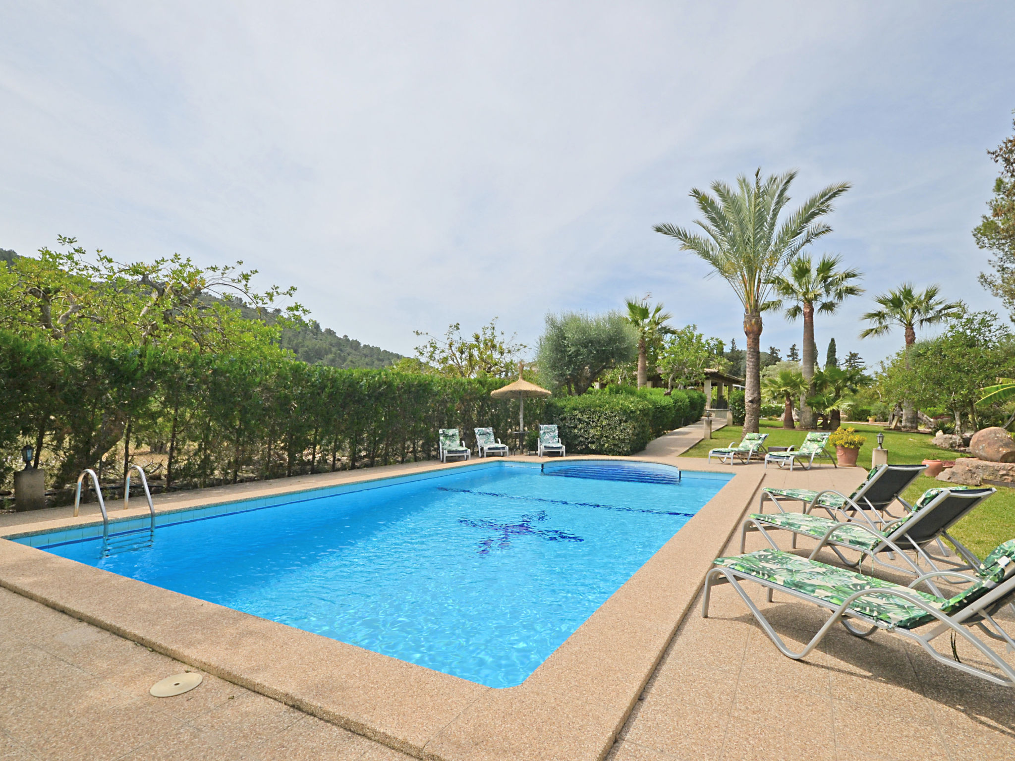 Photo of Ca na rossa