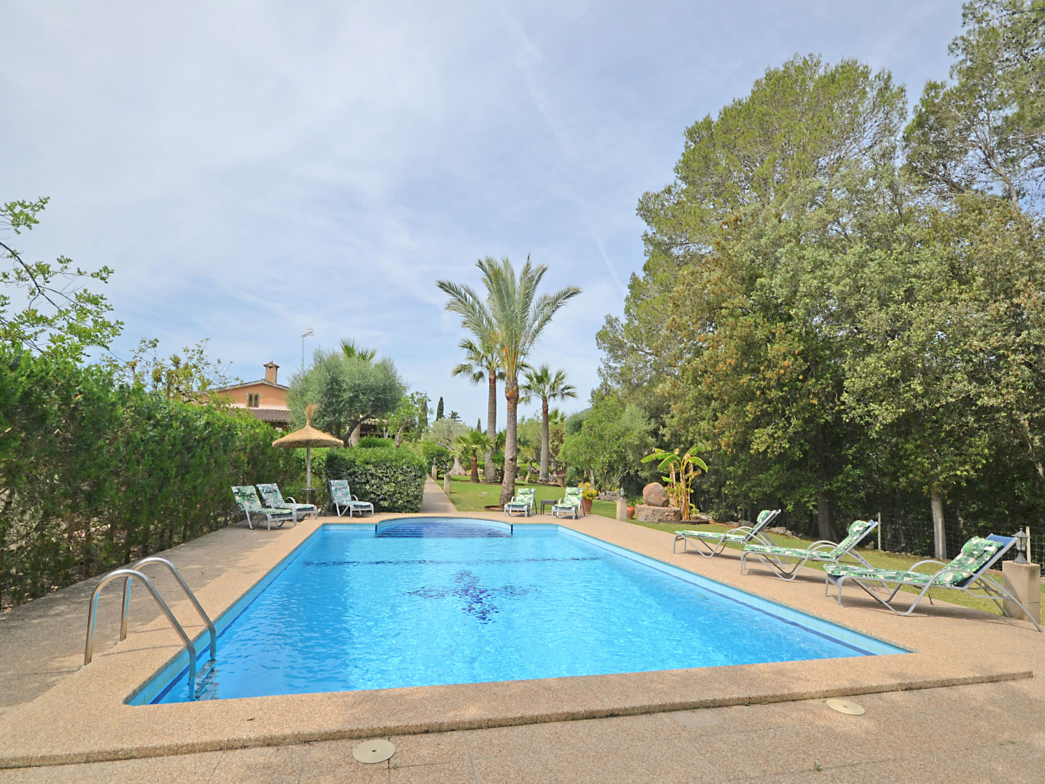 Photo of Ca na rossa