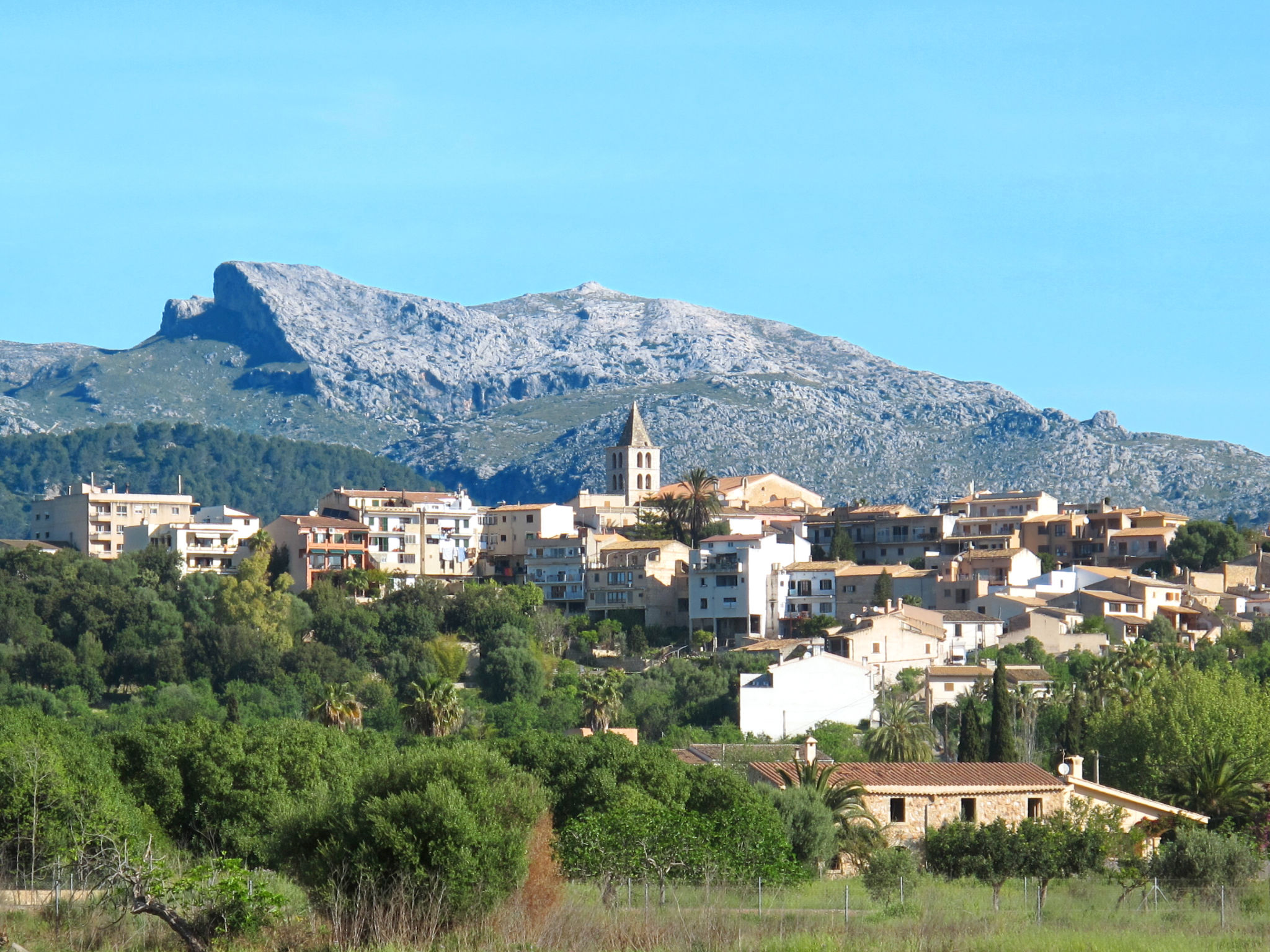 Photo of Ca na rossa