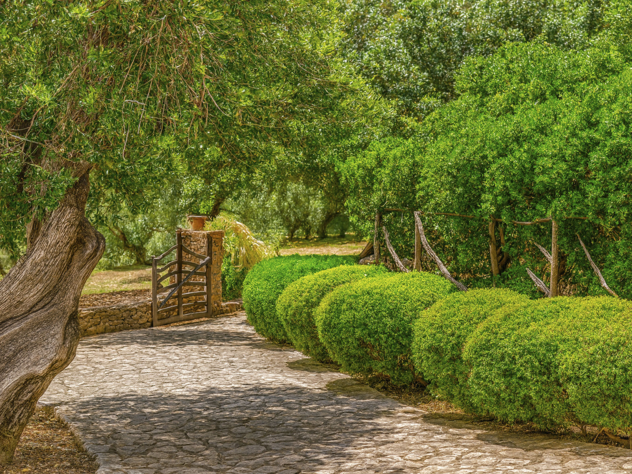 Urlaub Finca Mallorca Brücke-Image-tags.info