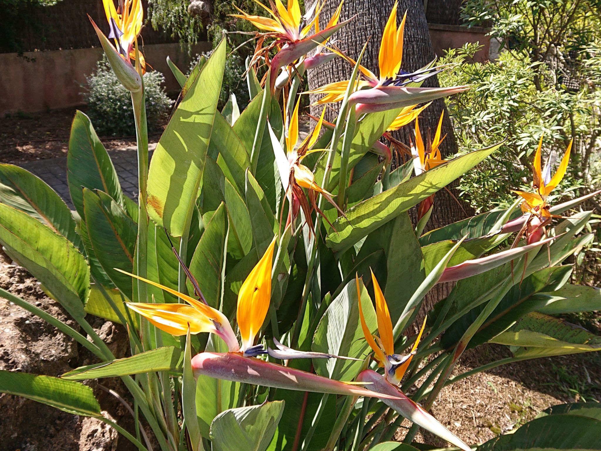 Villa Vista Verde mit Pool und Garten-Binnen