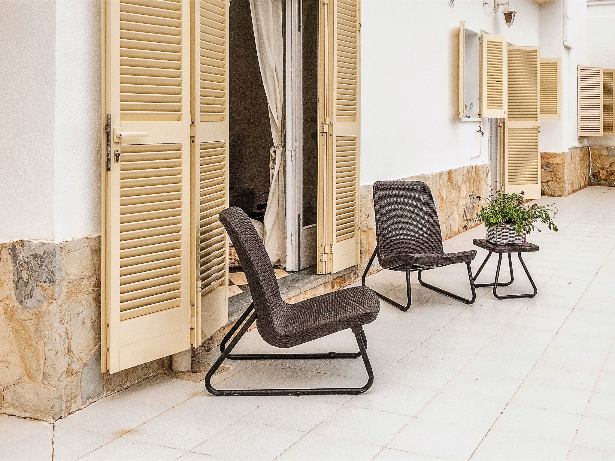 Bambu-Image-tags.info