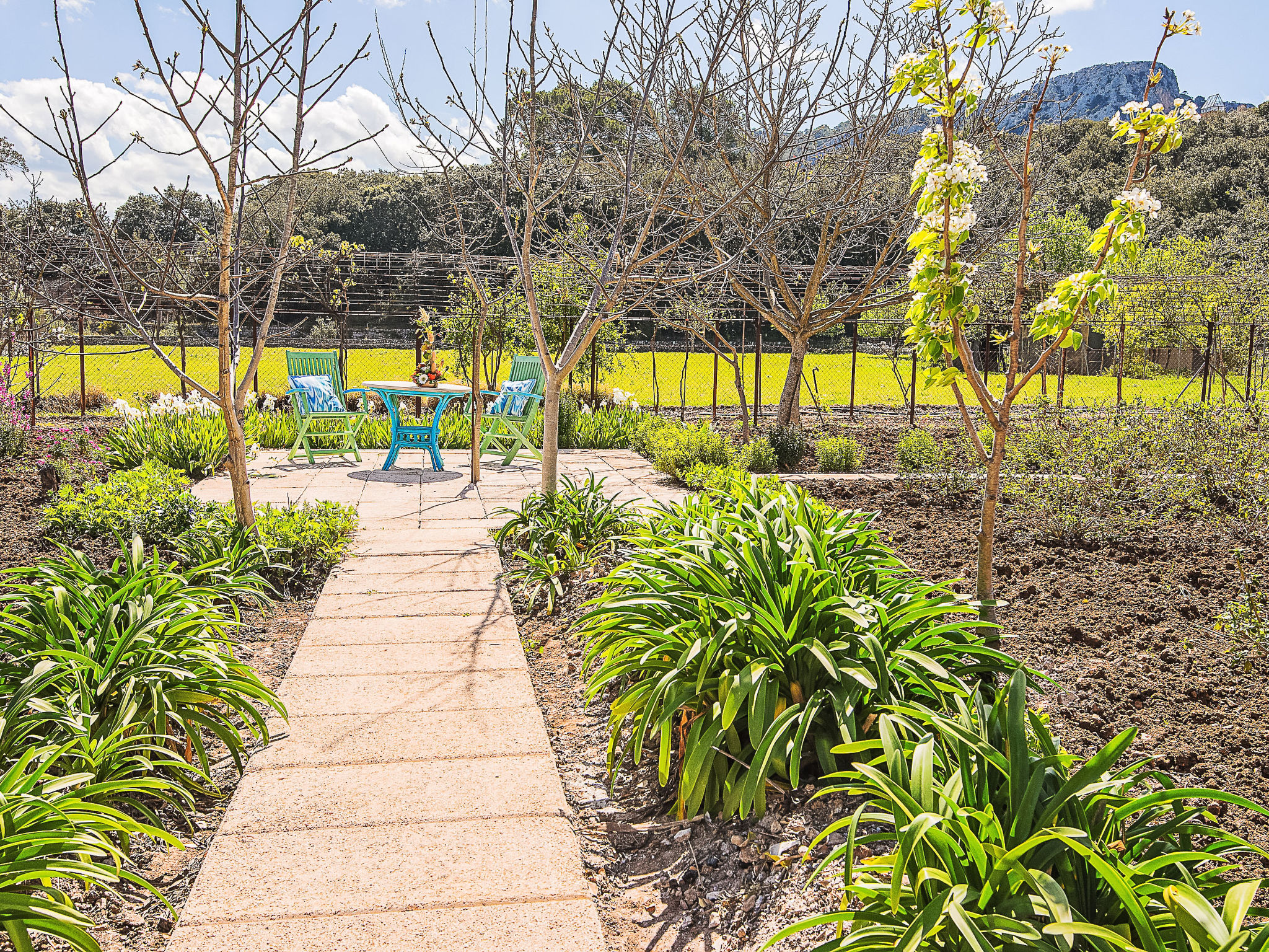 Photo of Villa Colonya Jaume