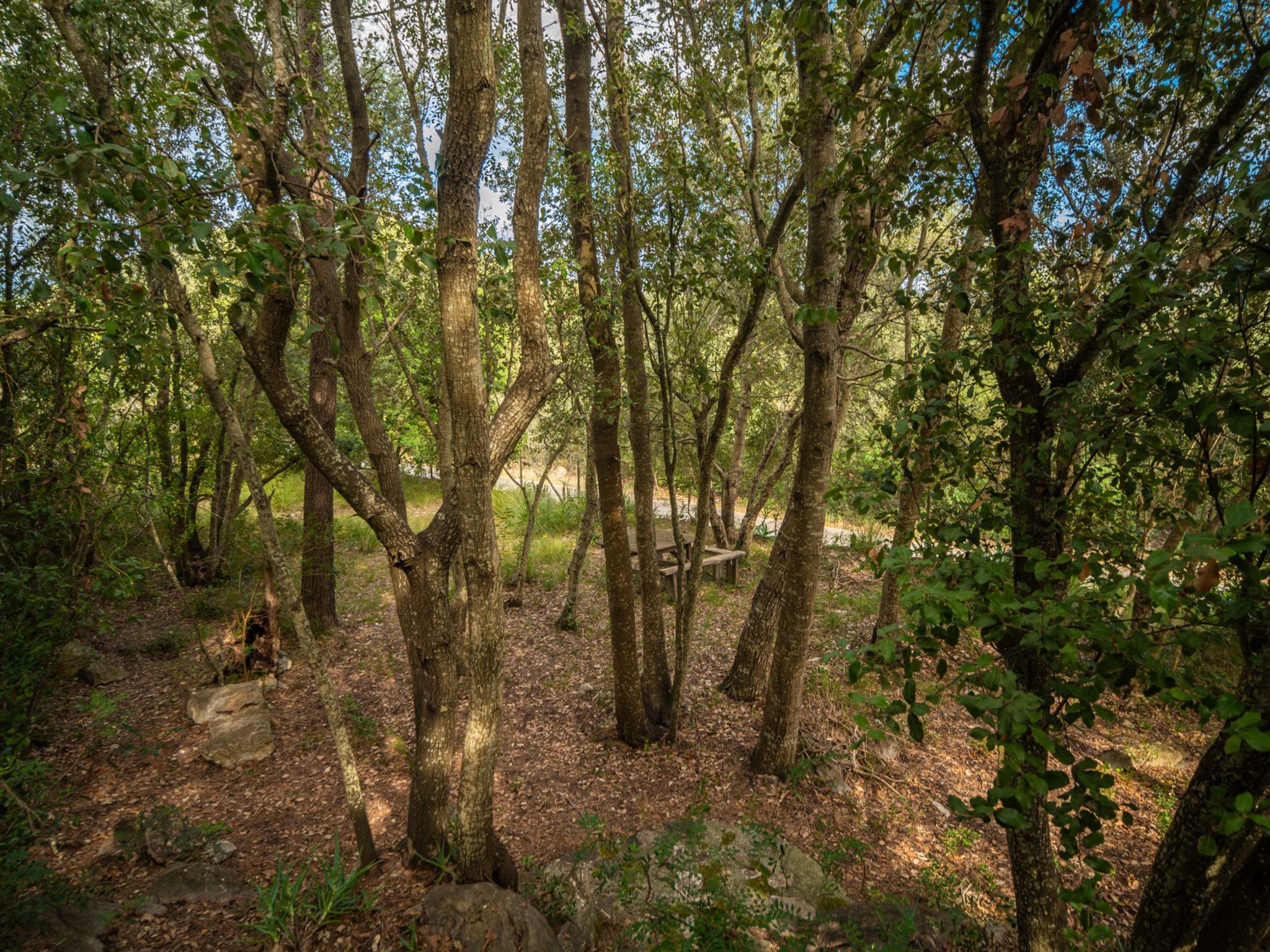 La Salve Can Jordi-Buiten