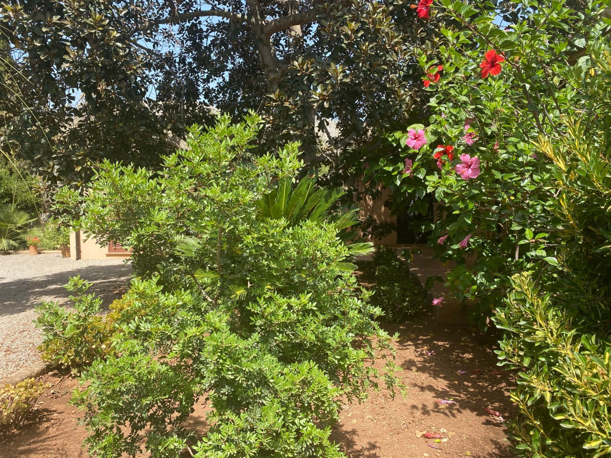 Finca mit Garten, Grill und Terrasse-Drinnen