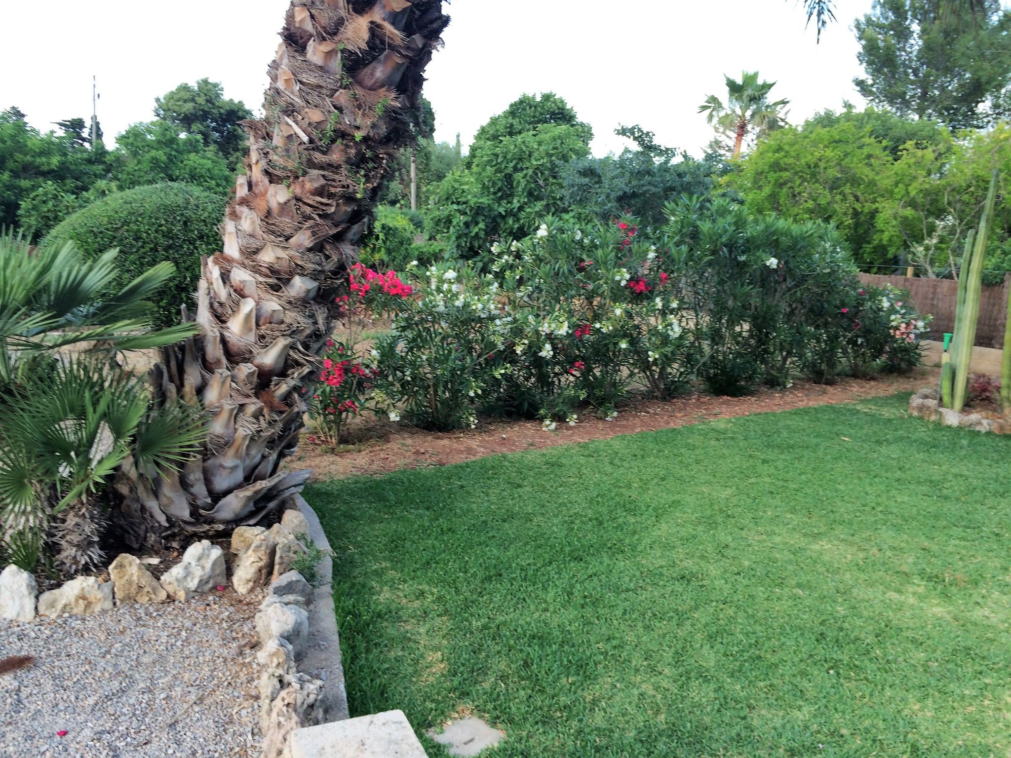 Großzügig geschnittenes Ferienhaus mit Garten und großem Pool am Standrand von-Outside