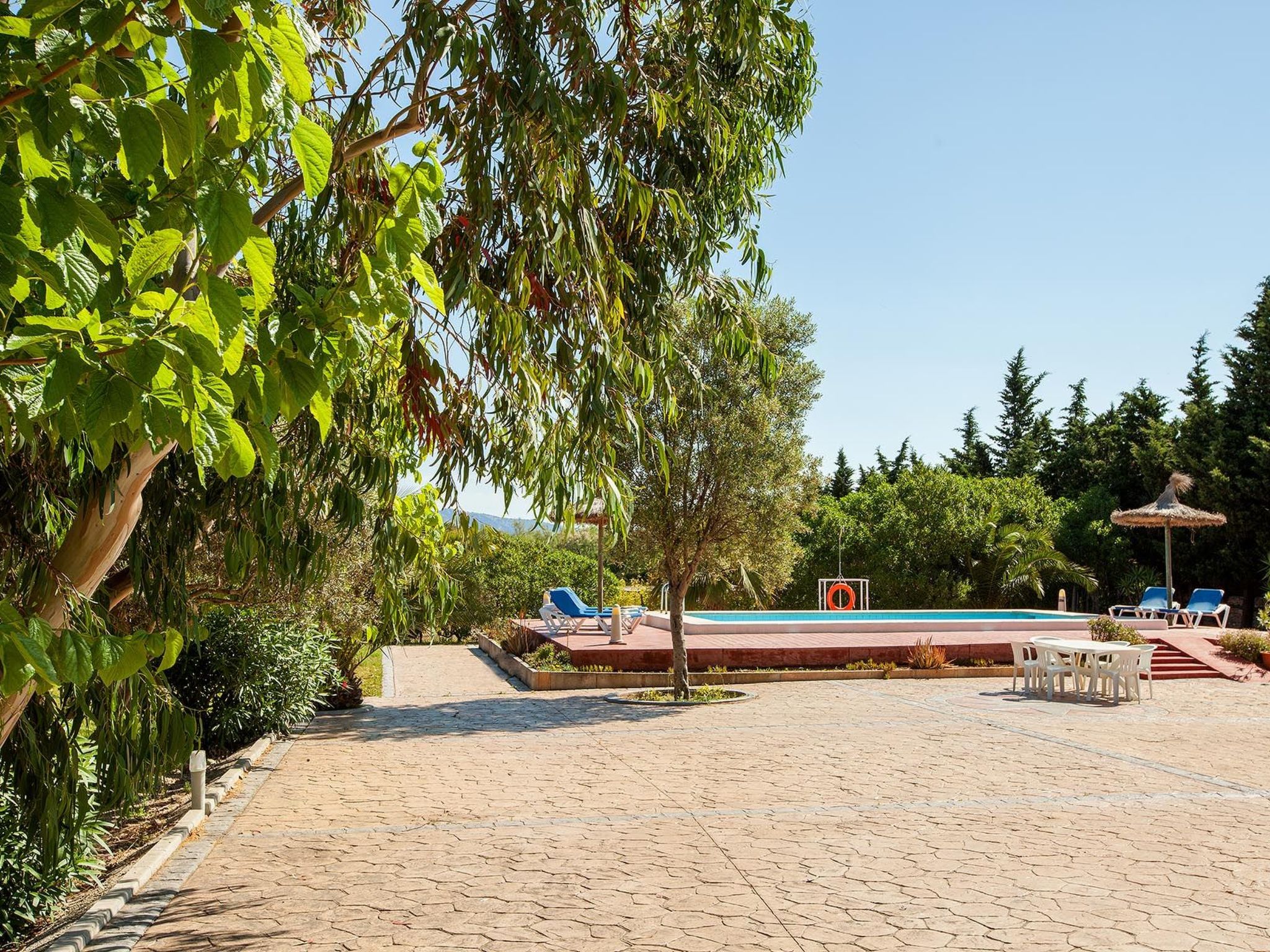 In Strandnähe-Image-tags.info