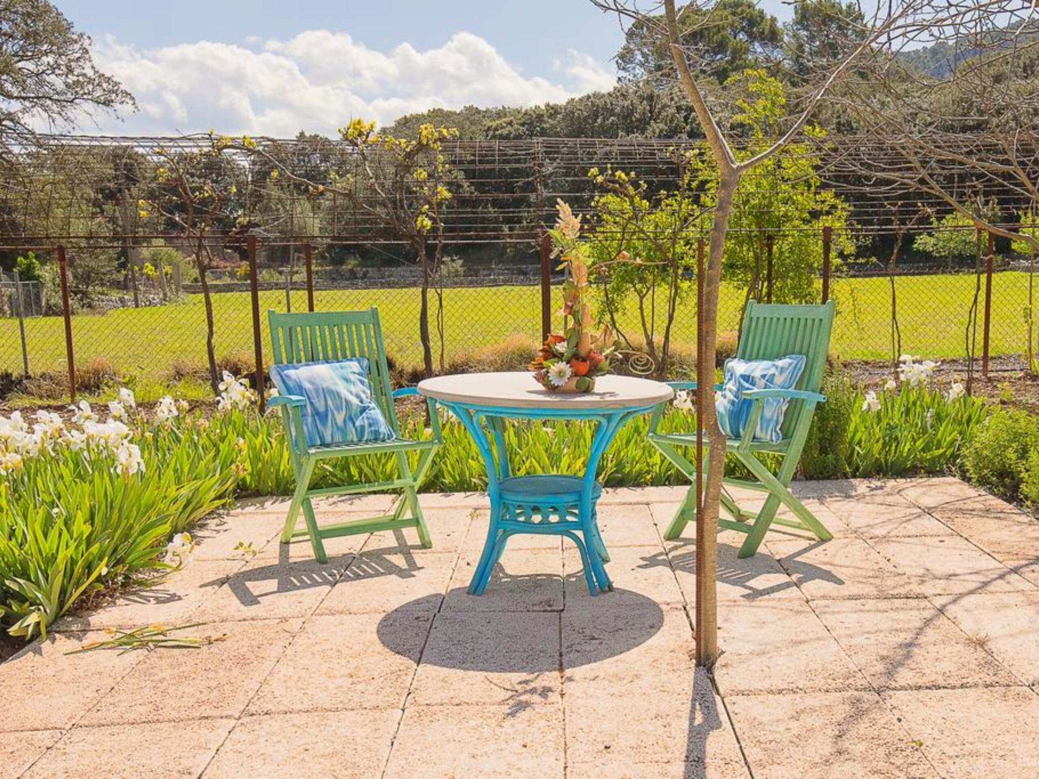 Villa para 5 Colonya Jaume BBQ, Pingpong Pollensa-Image-tags.info