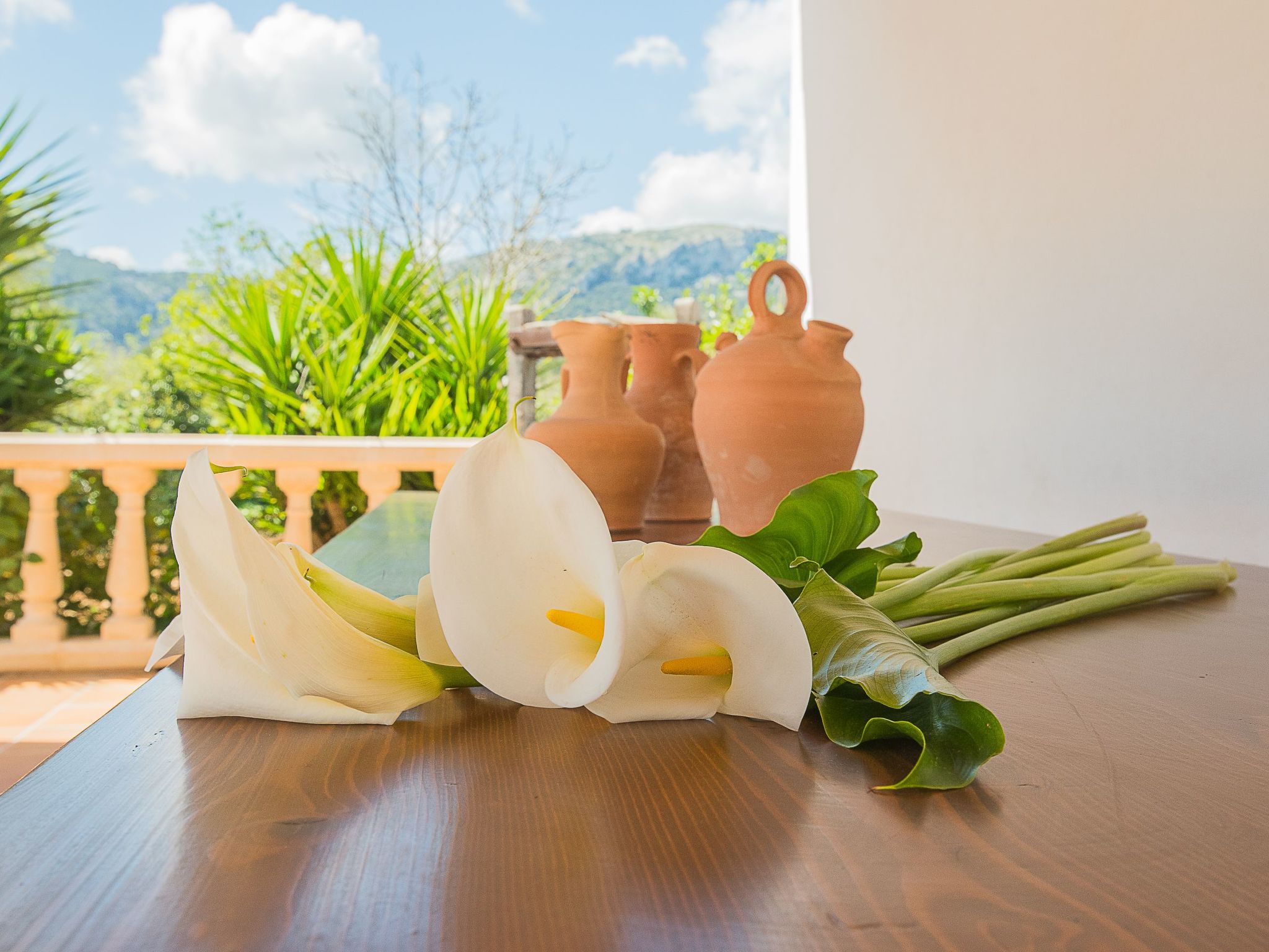 Photo of Villa para 5 Colonya Jaume BBQ, Pingpong Pollensa