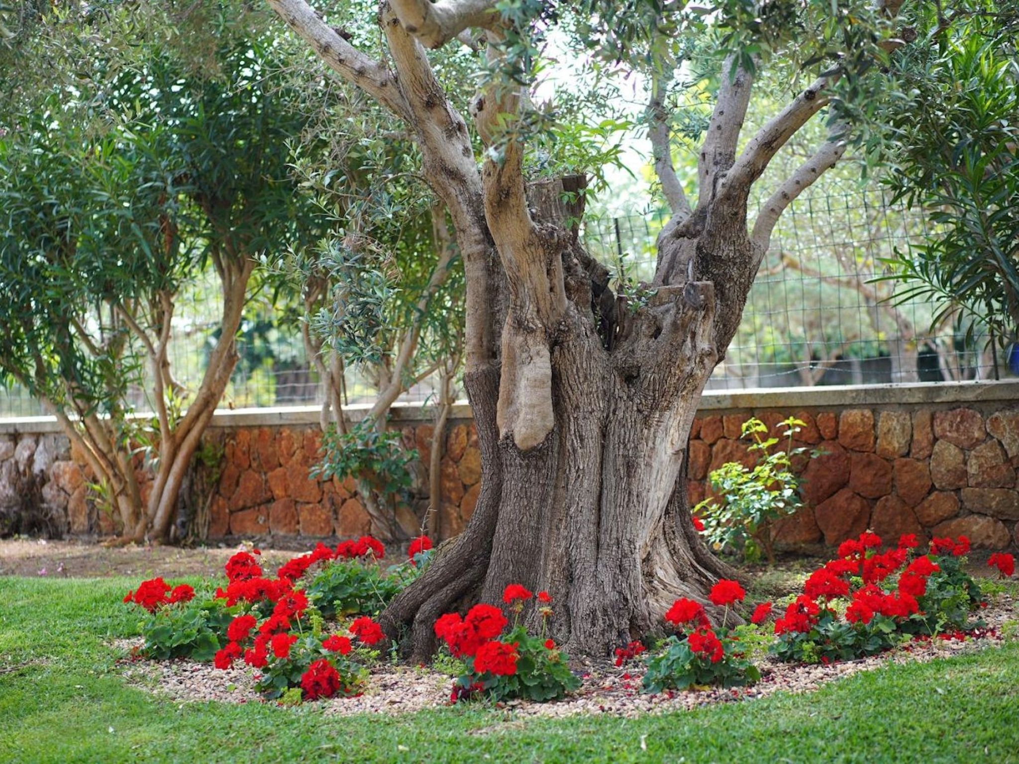 "Joan" mit privatem Pool-Binnen