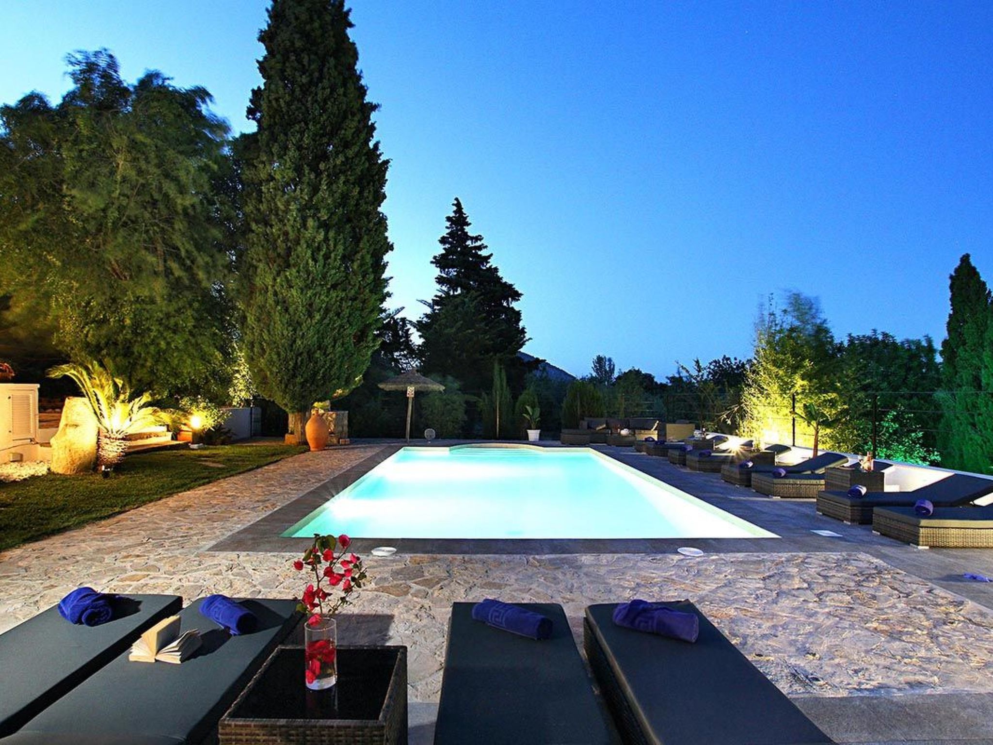 "Jaume Ramona-Binnen