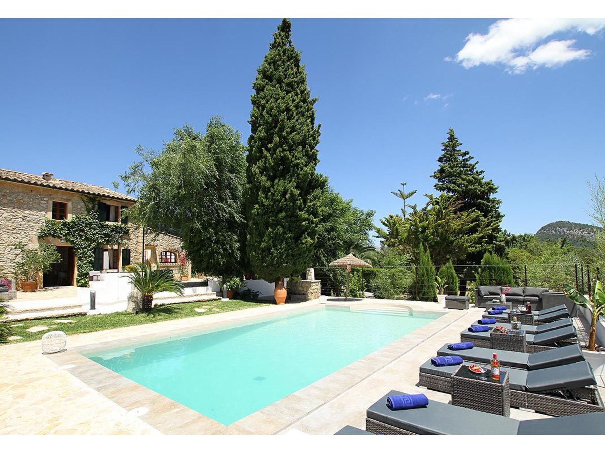 "Jaume Ramona-Binnen