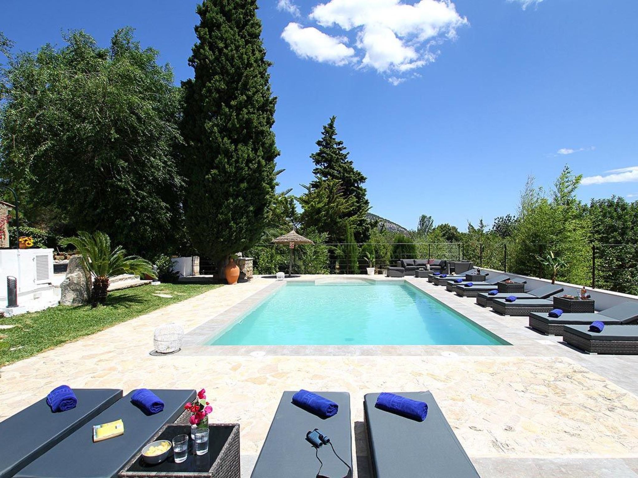 "Jaume Ramona-Binnen