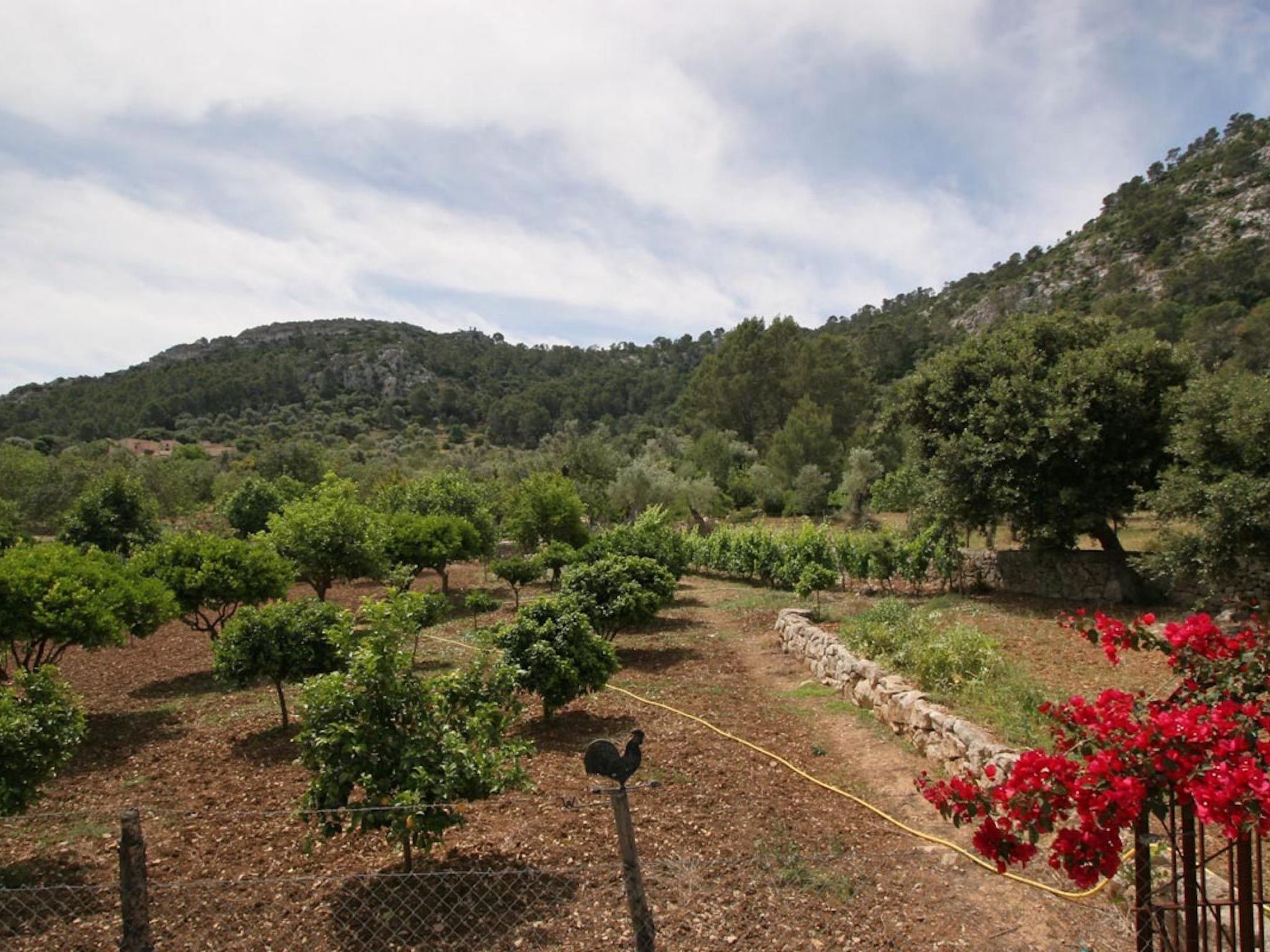 Guillo. 300 Jahre Geschichte an einem zeitlosen Ort-Binnen