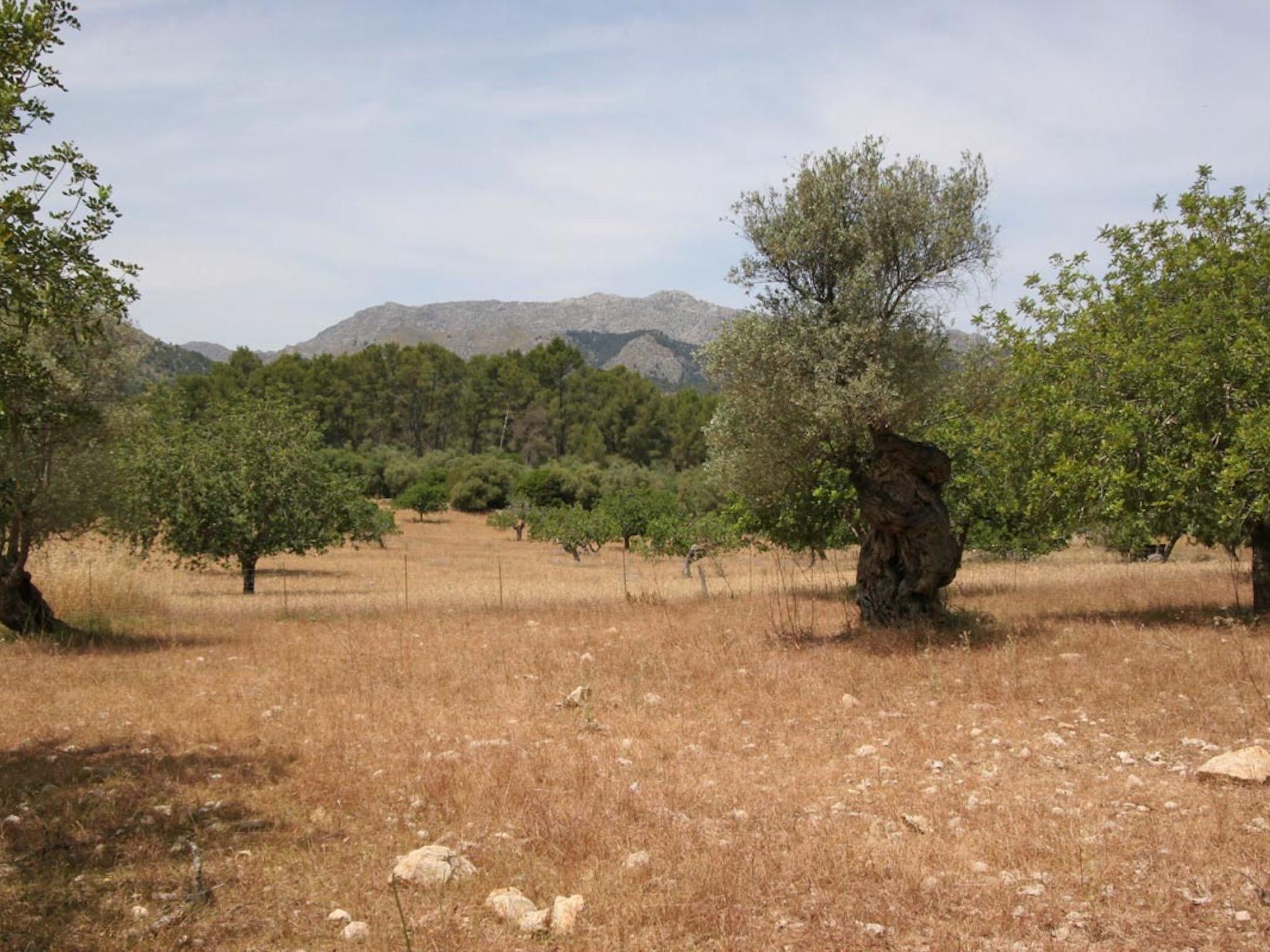 Guillo. 300 Jahre Geschichte an einem zeitlosen Ort-Binnen