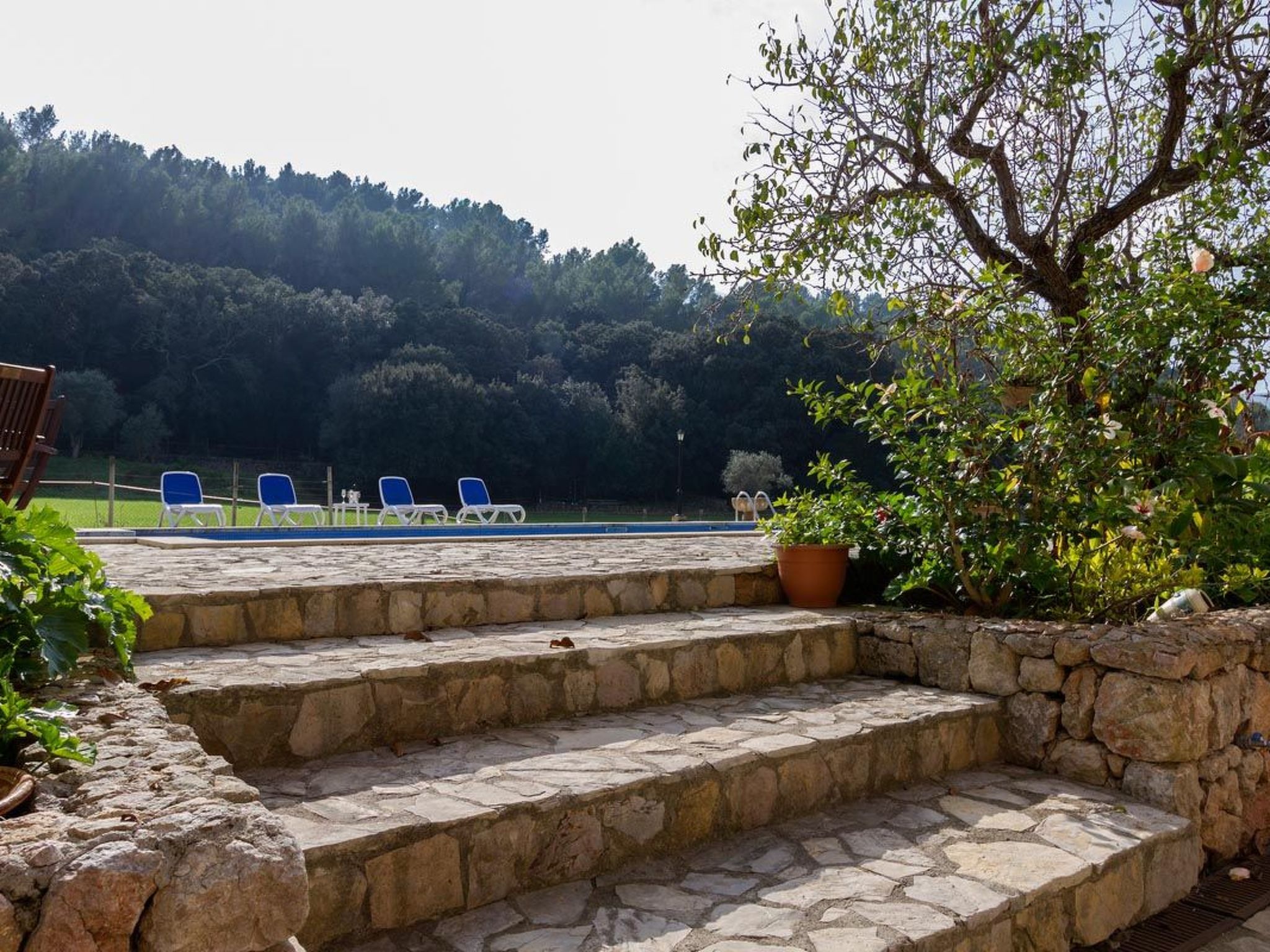 Tolle Finca in wunderschöner Landschaft-Binnen
