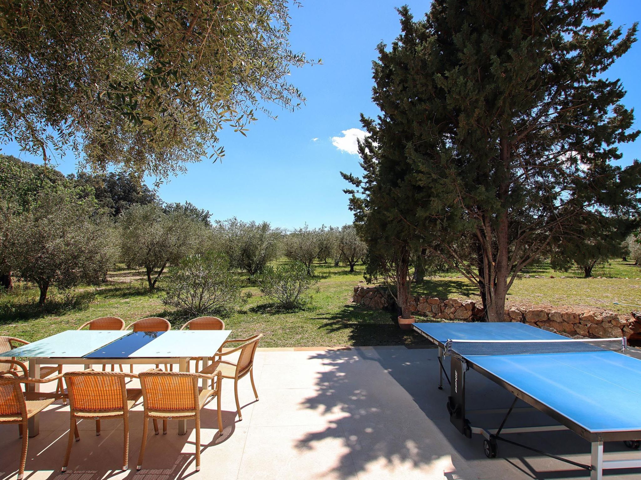 Tradition und Geschmack Mallorcas vereint-Binnen