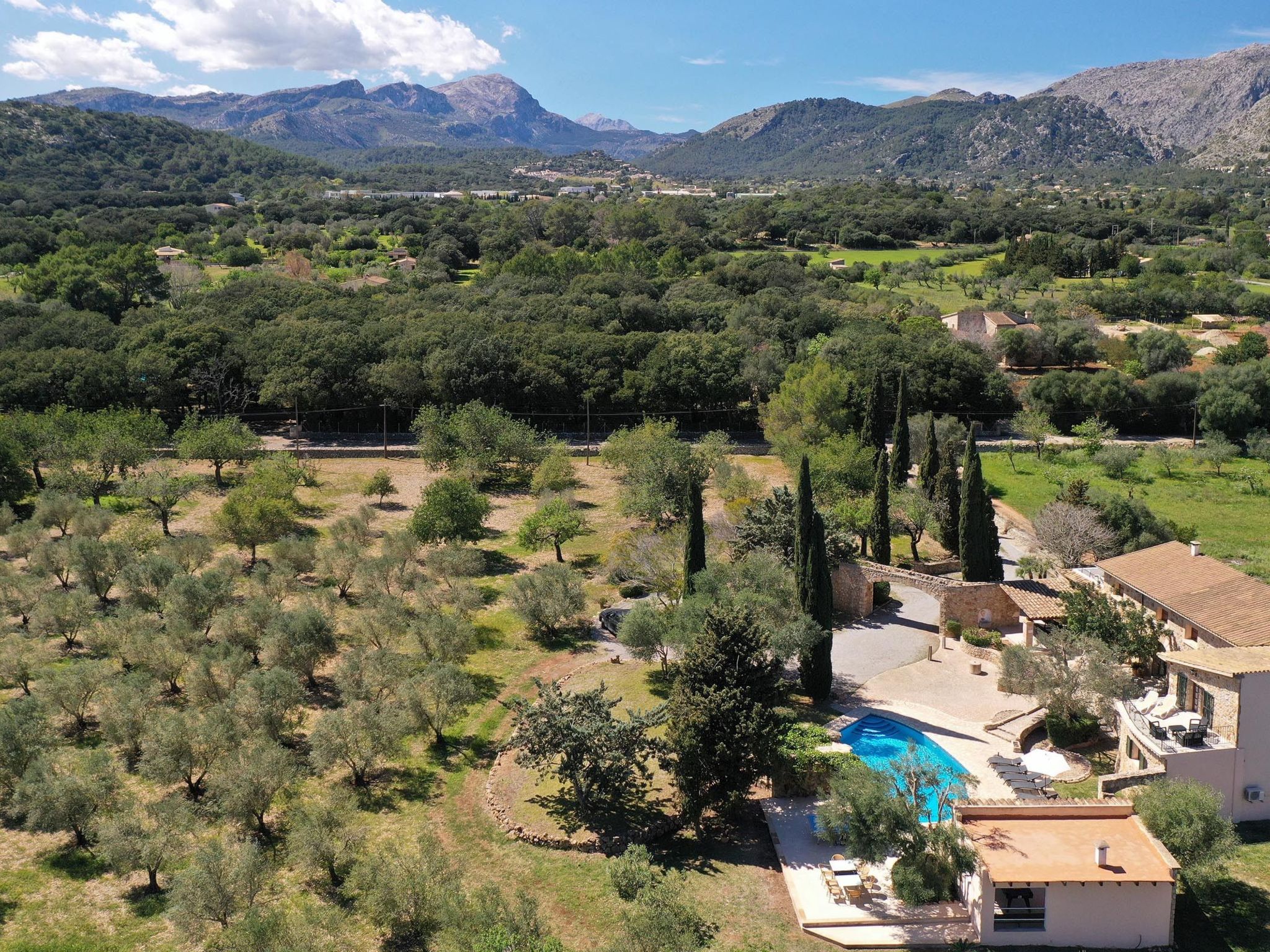 Tradition und Geschmack Mallorcas vereint-Binnen