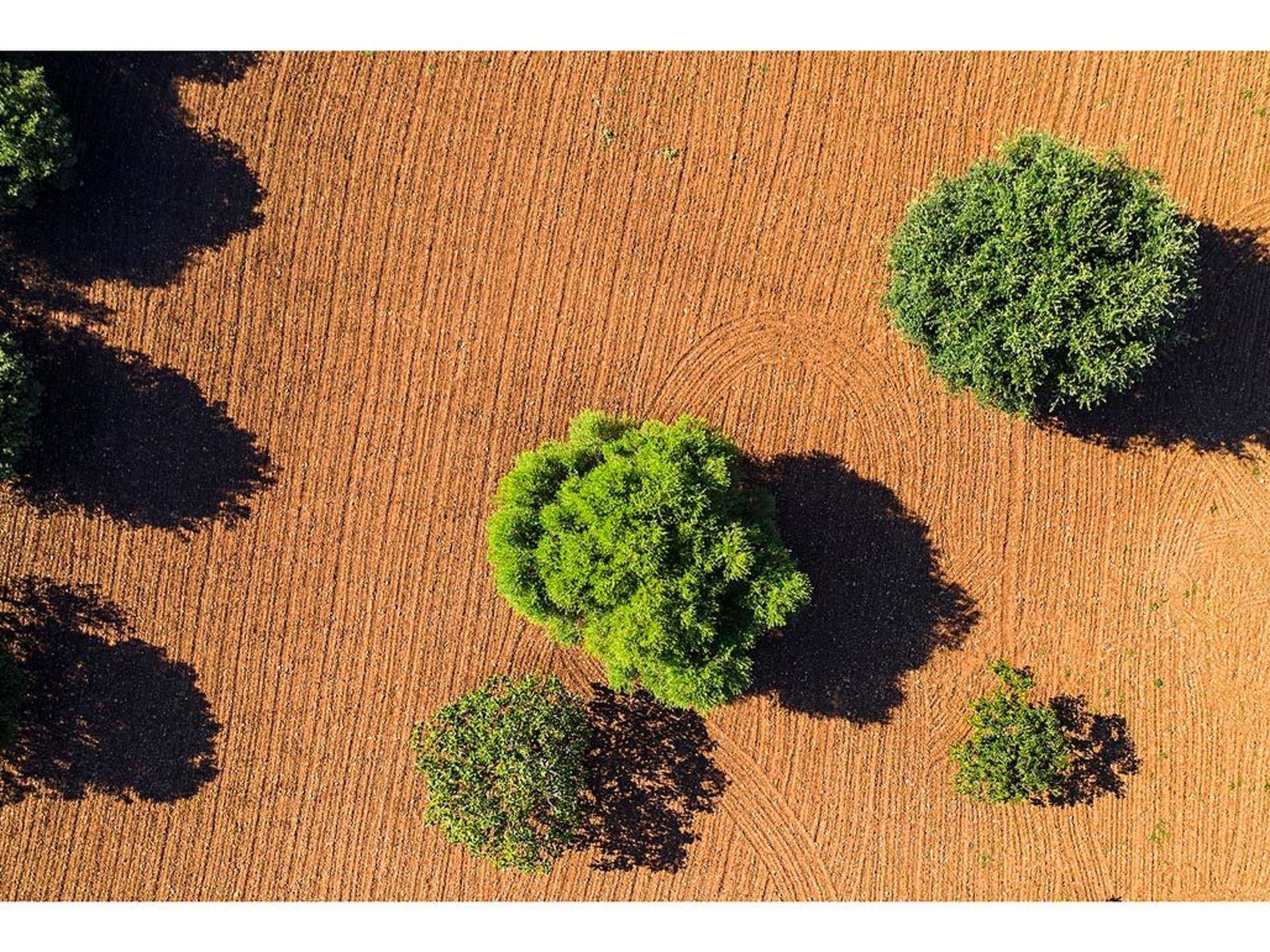 Fabelhafte Restaurierung mit beeindruckendem Ergebnis-Dedans